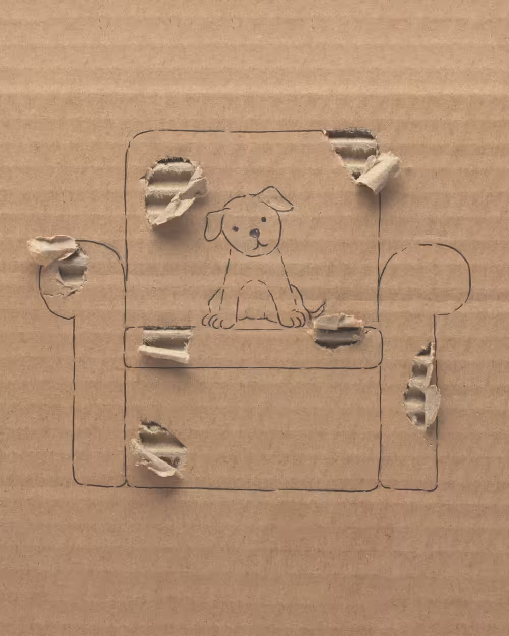 Card-dog (Couch)