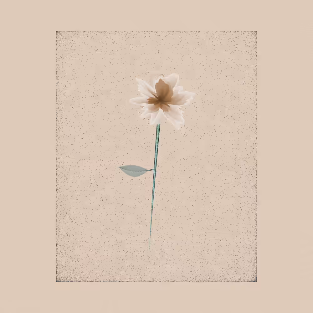 Magnolia #67