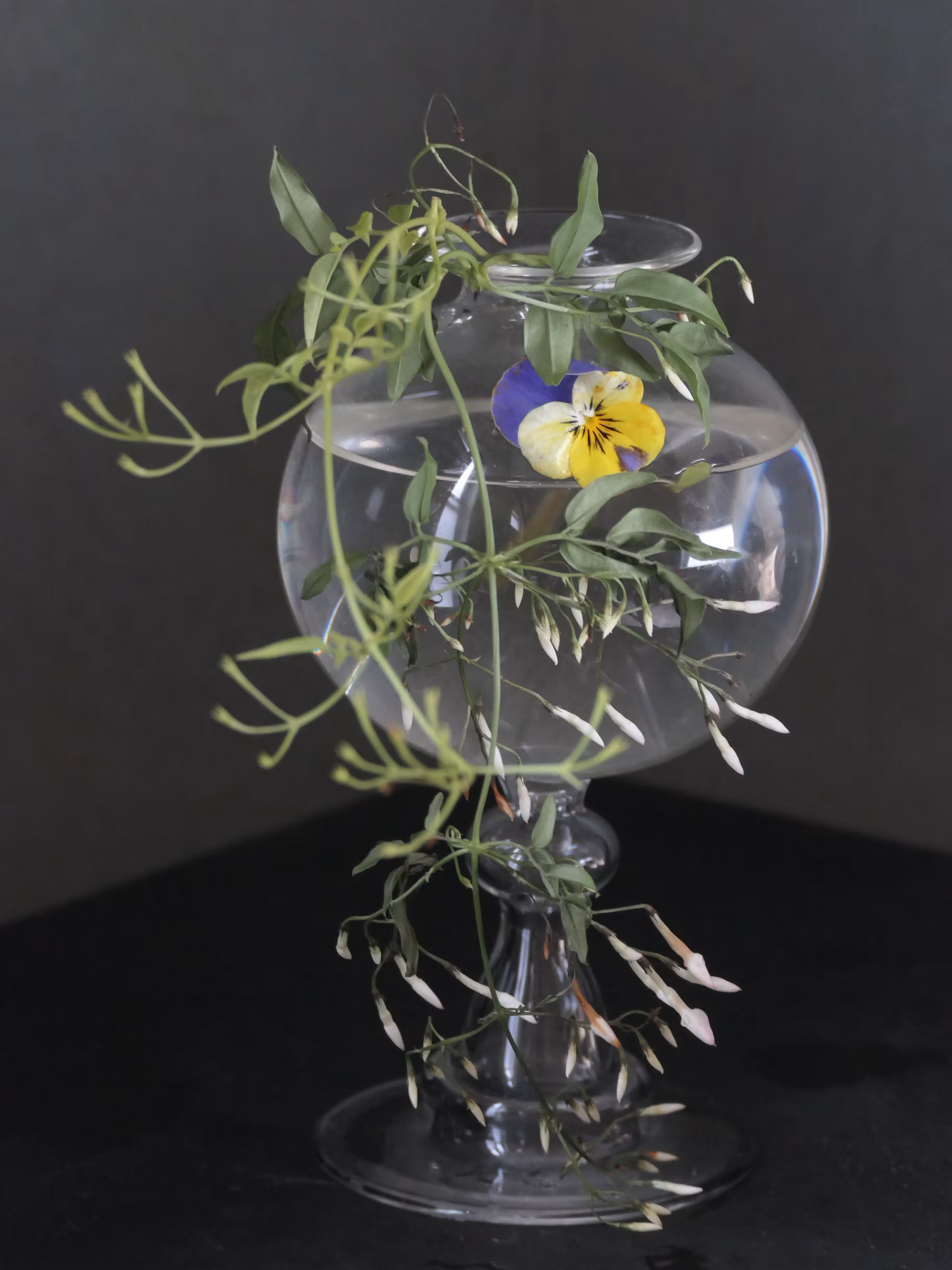 Still Life (Special edition)