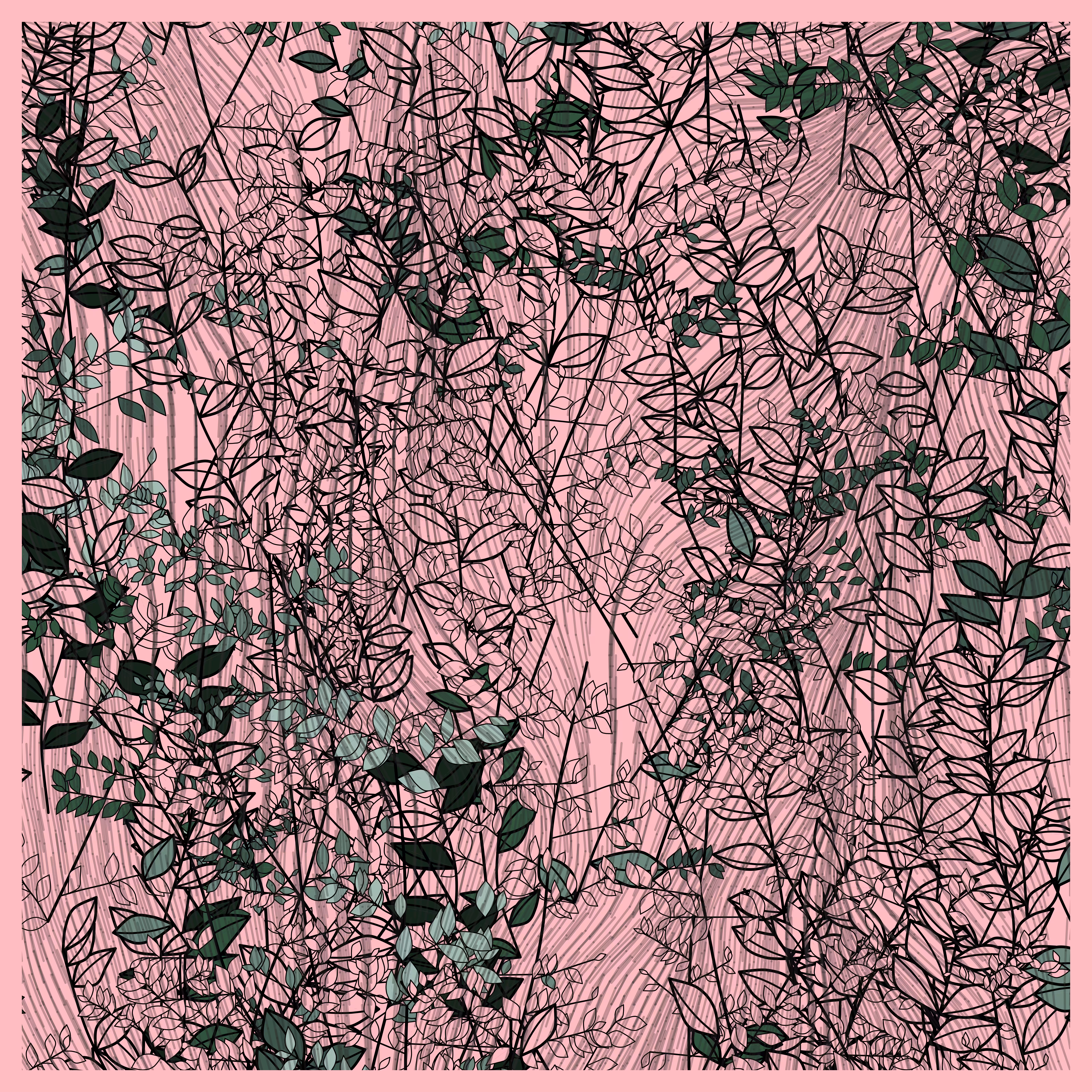 Random Plants #242