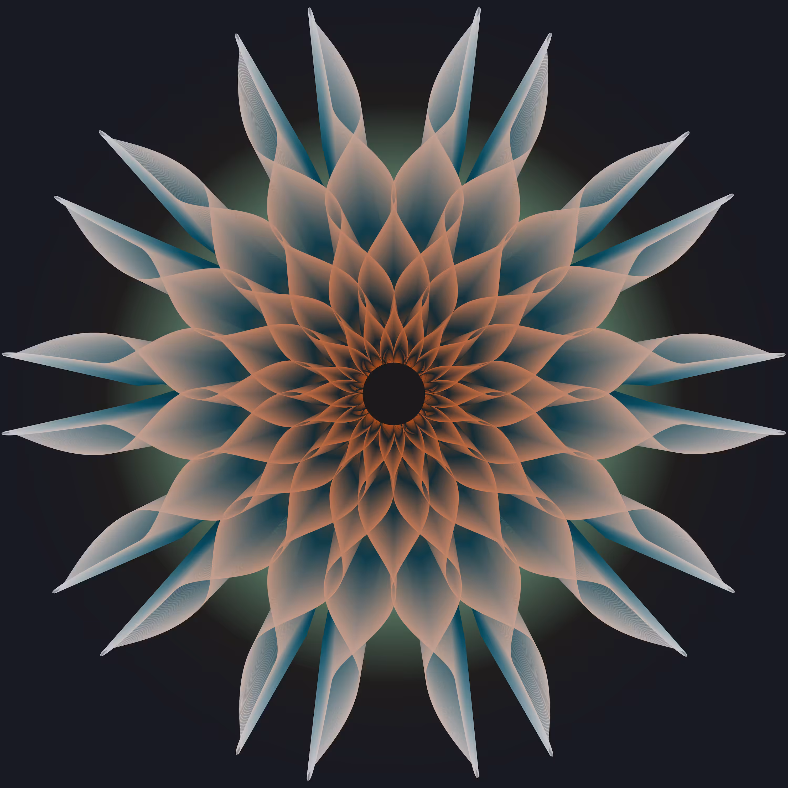 Bloom