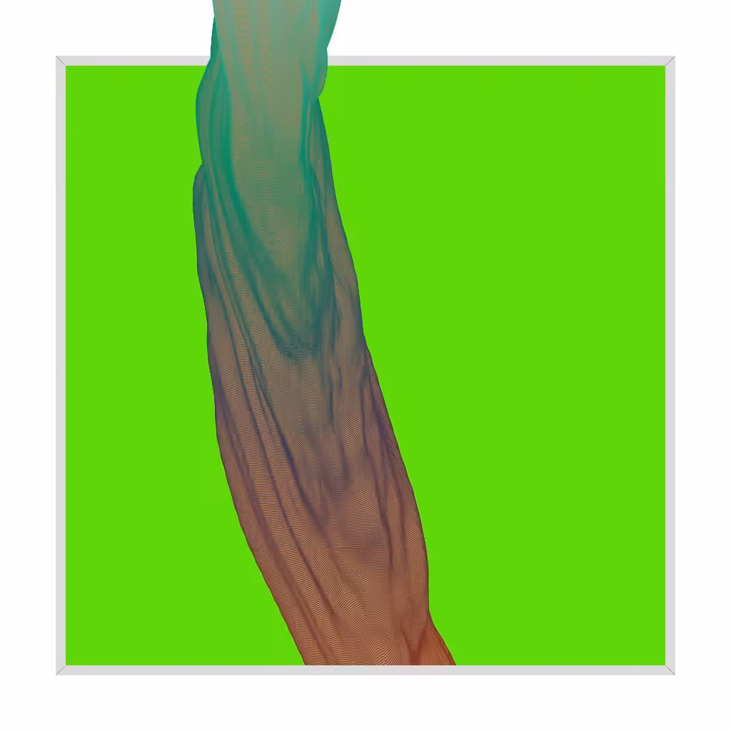 Framed Growth 252