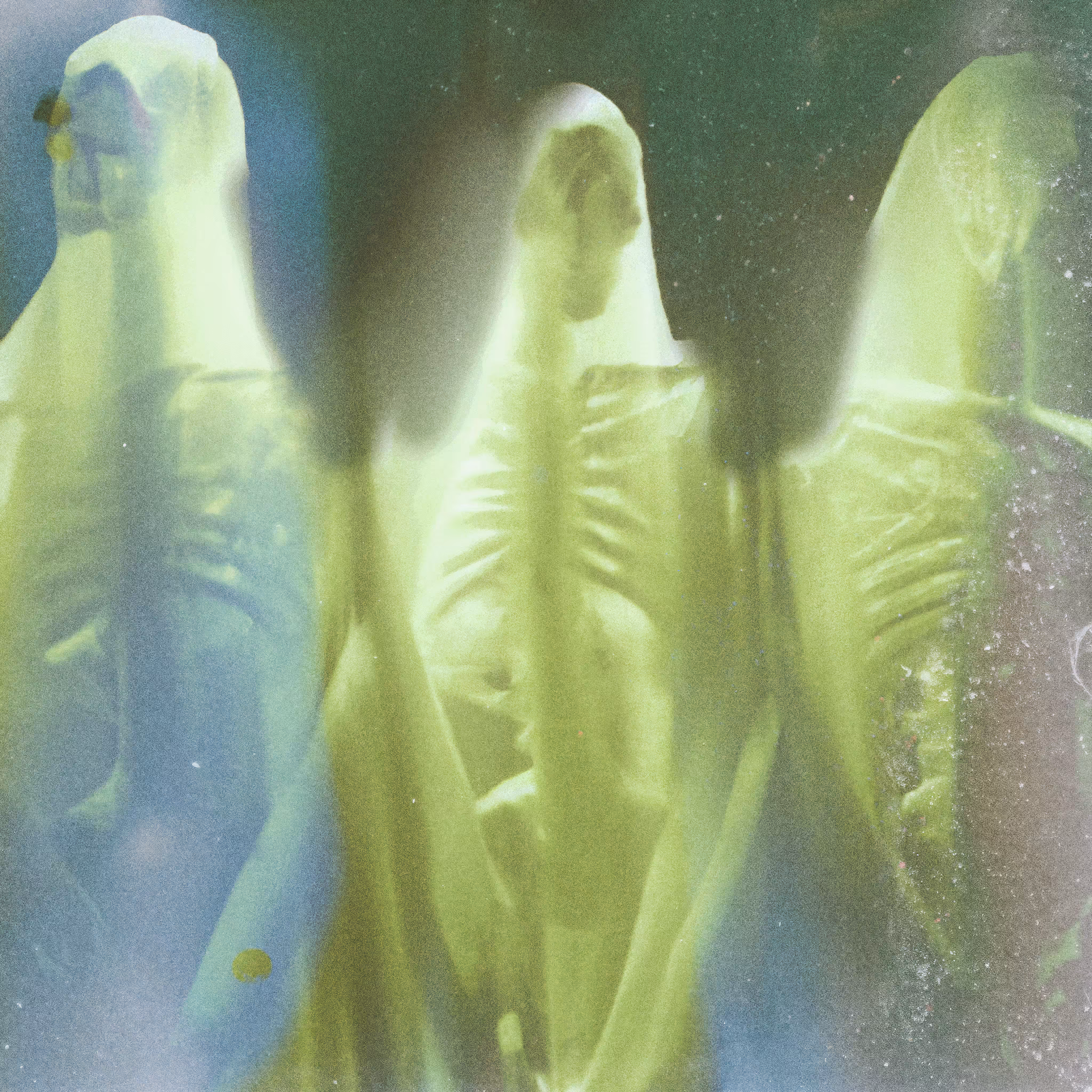 Beings #10