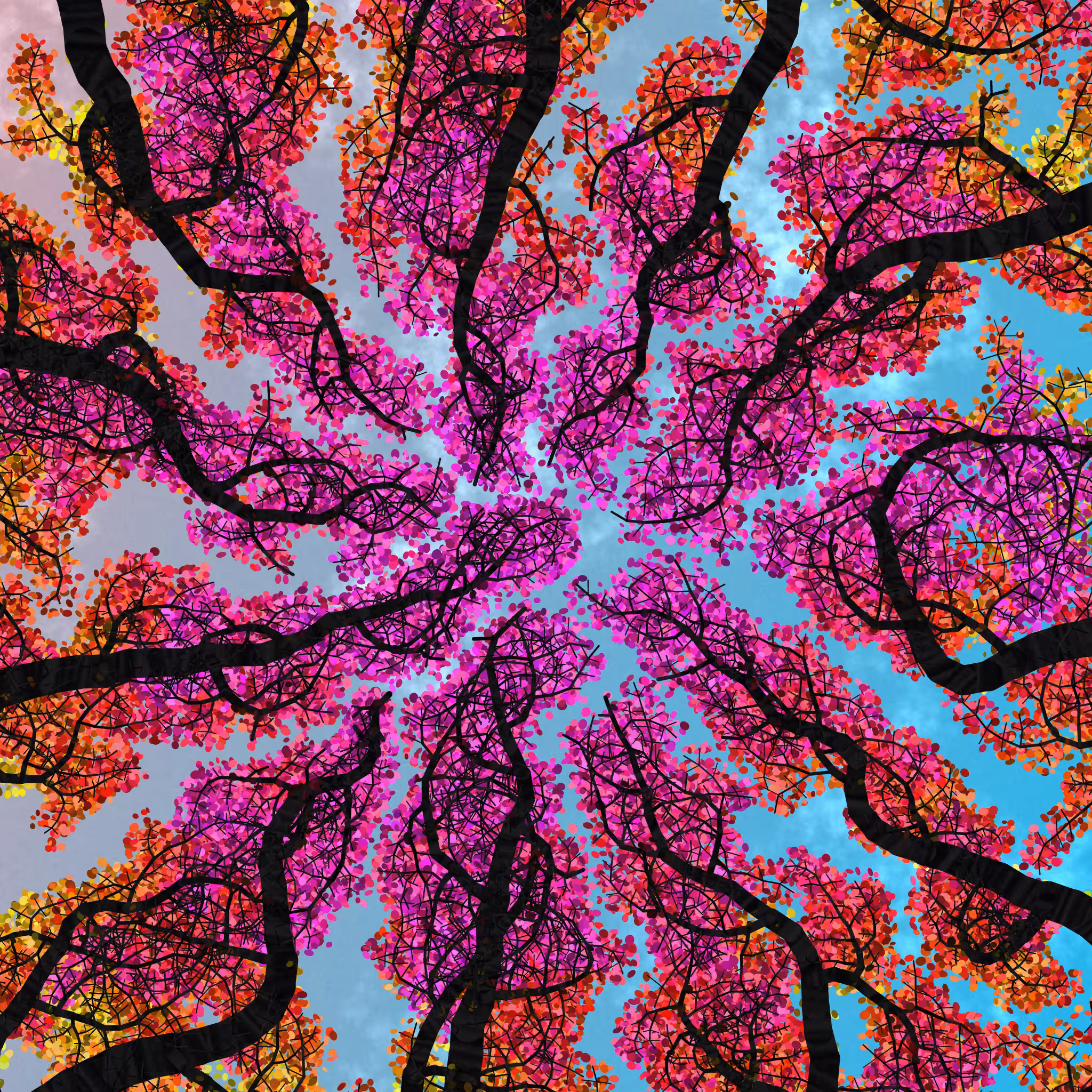 Tree Skyness #69