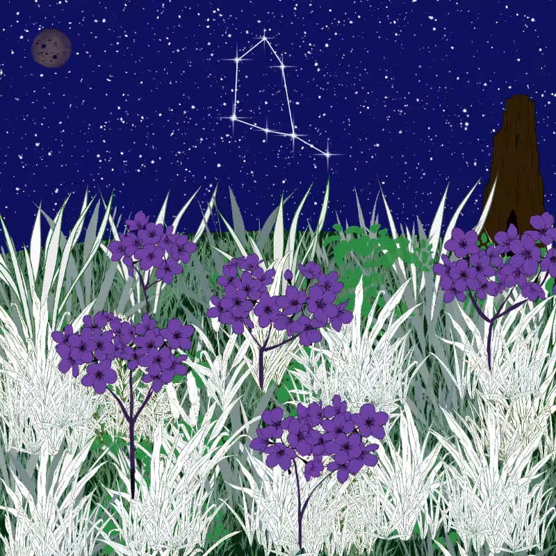 Zodiac #49