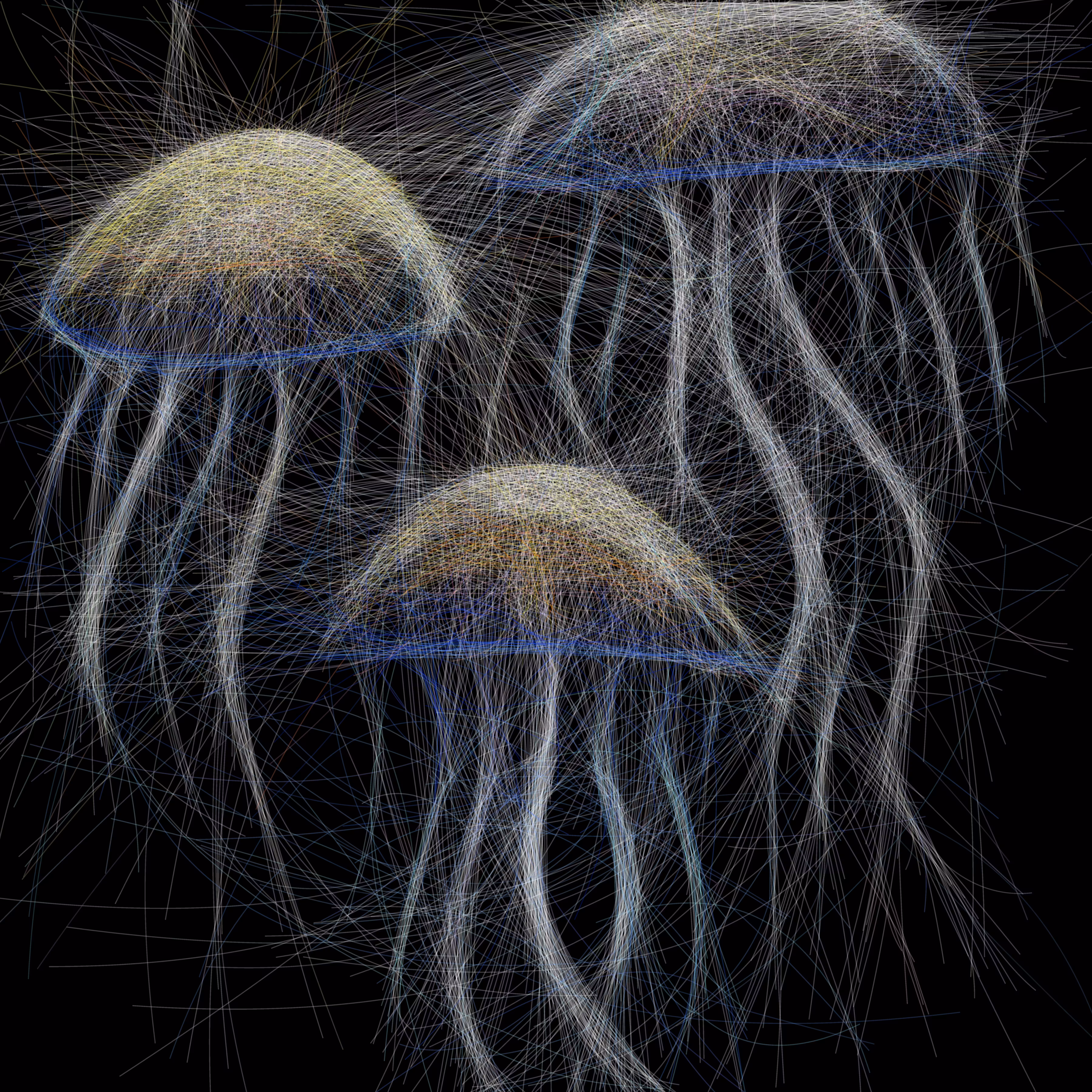 UNDERWATER: Underwater 62