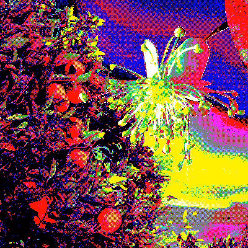 Garden of the republic ✿ #4