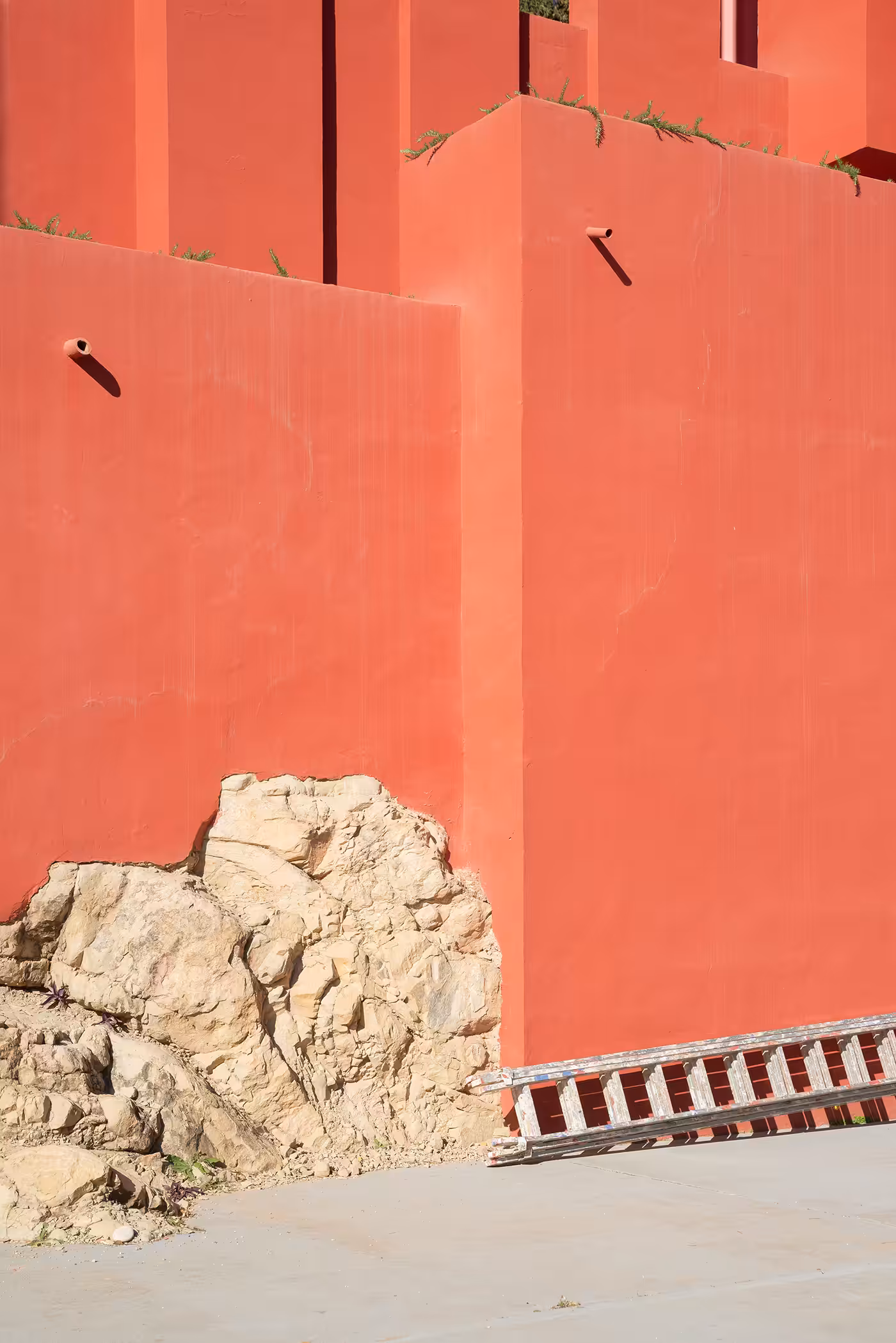 Muralla Roja #56