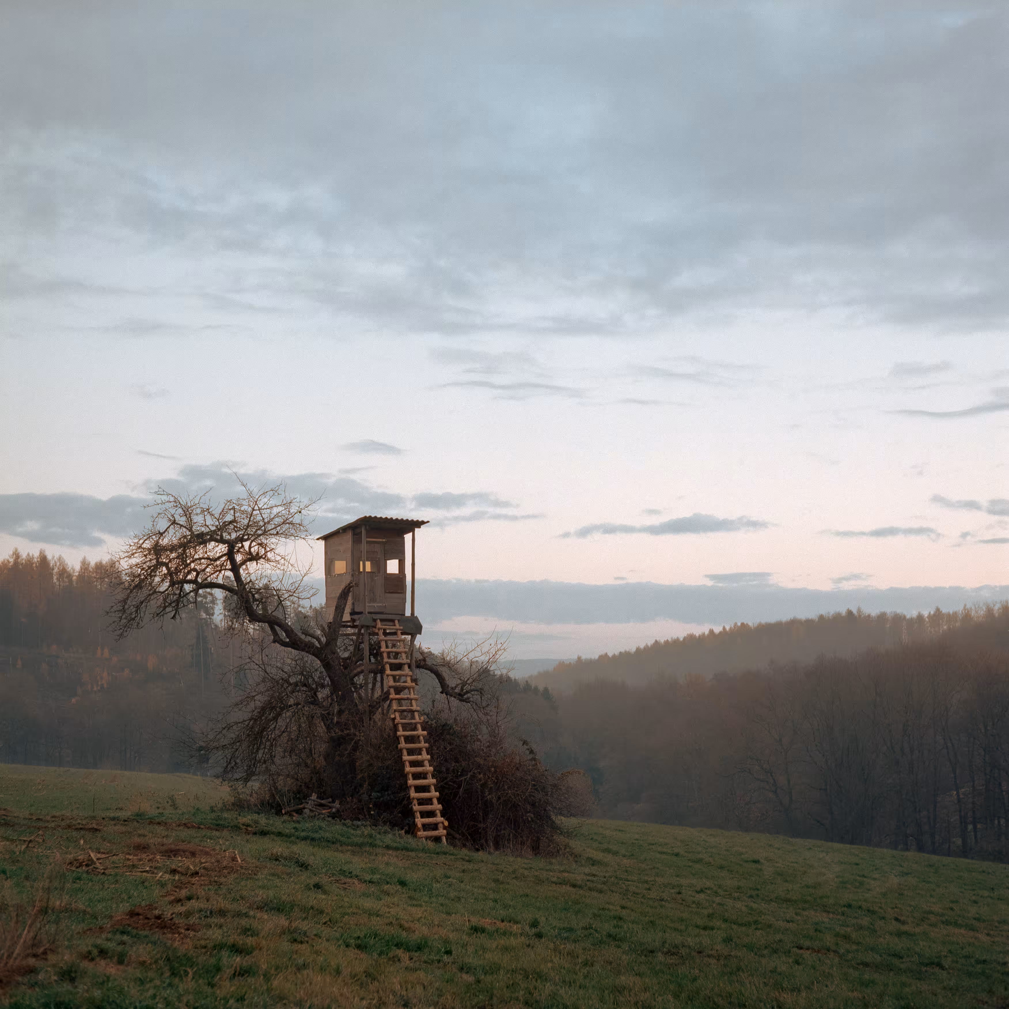 Treehouse