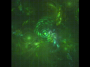 The Fractal Project #10