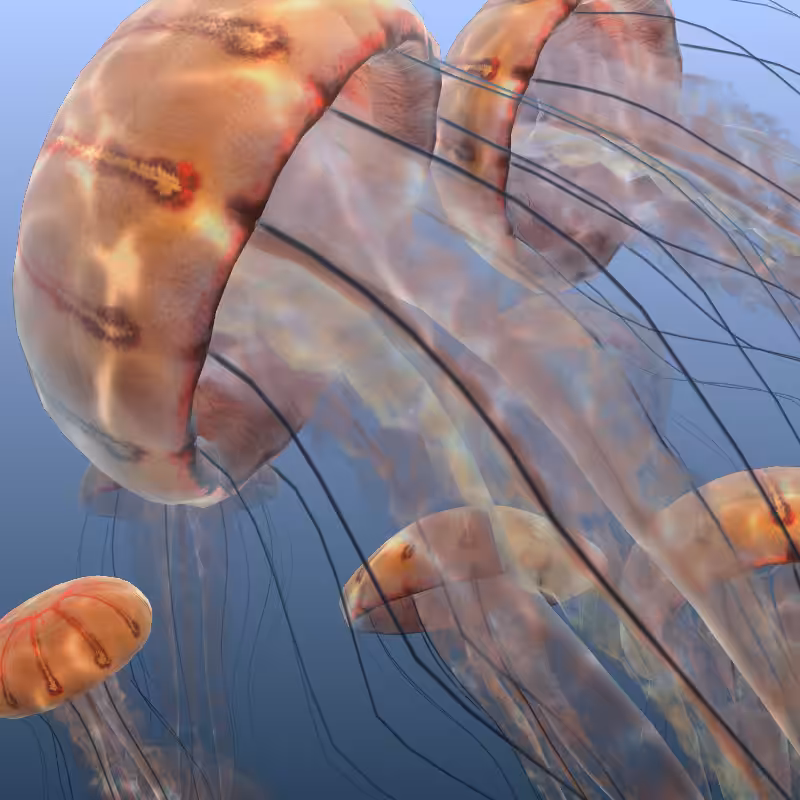 Jellyfish #15