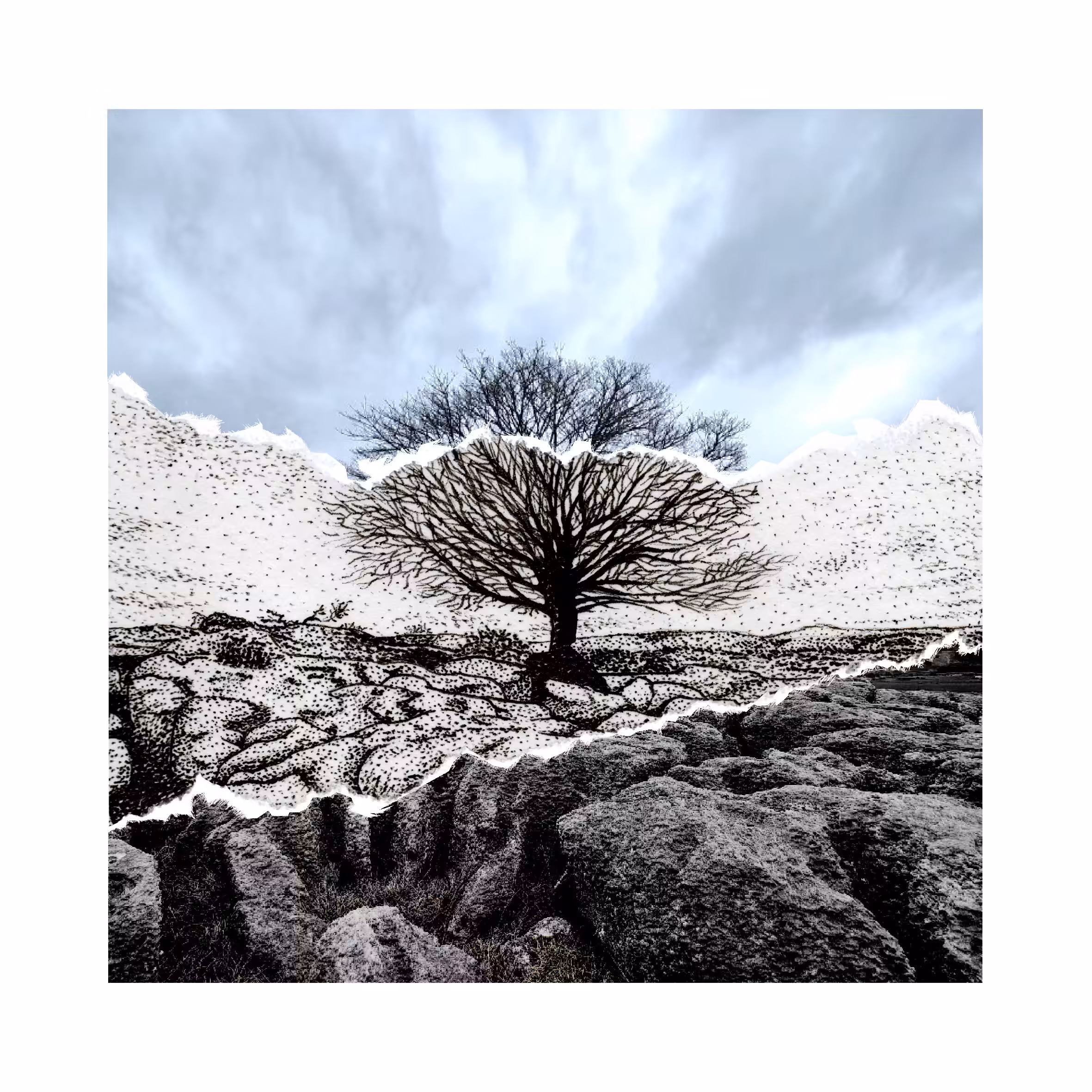 Farleton Knott