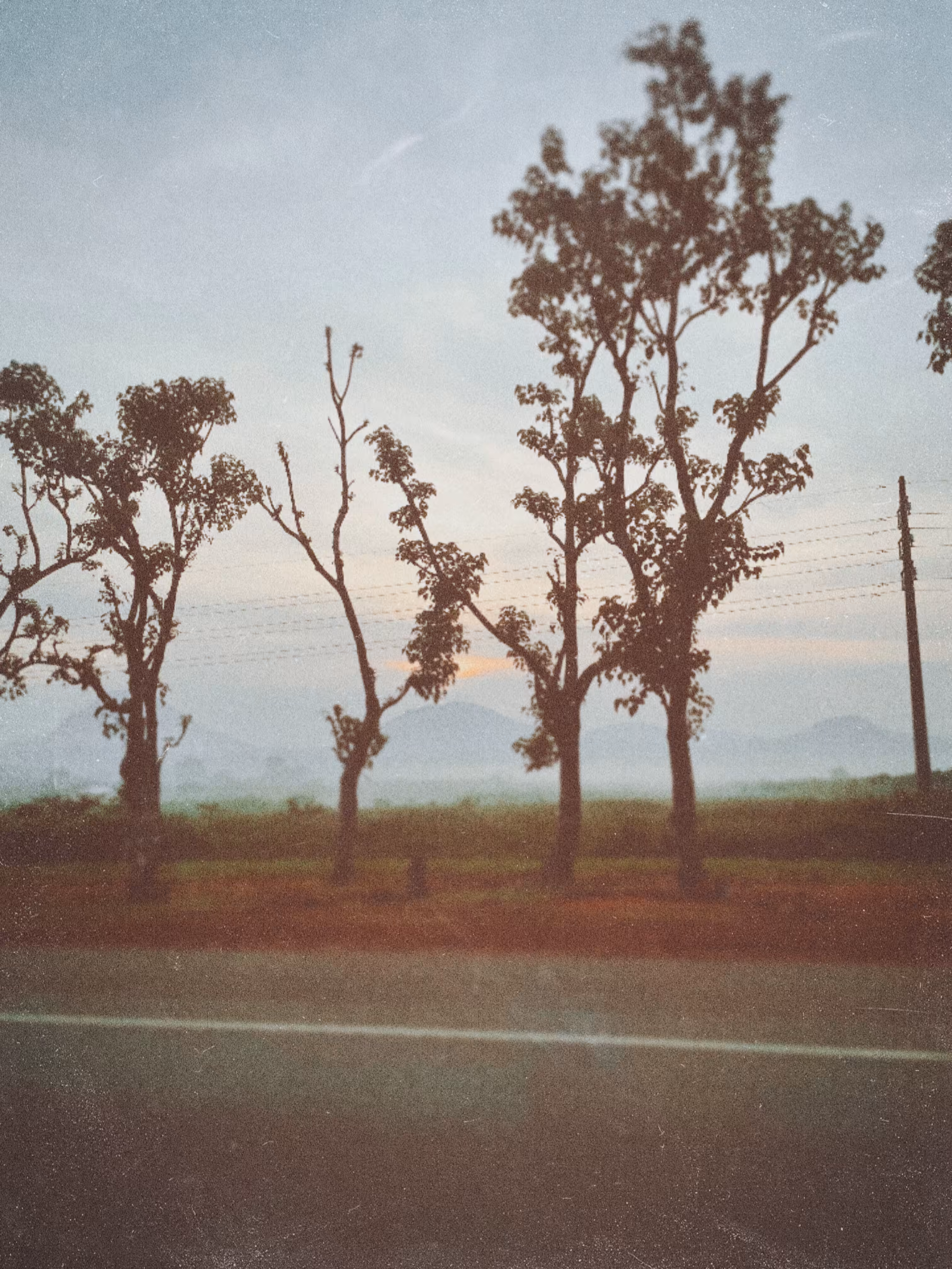 Morning Walk 03