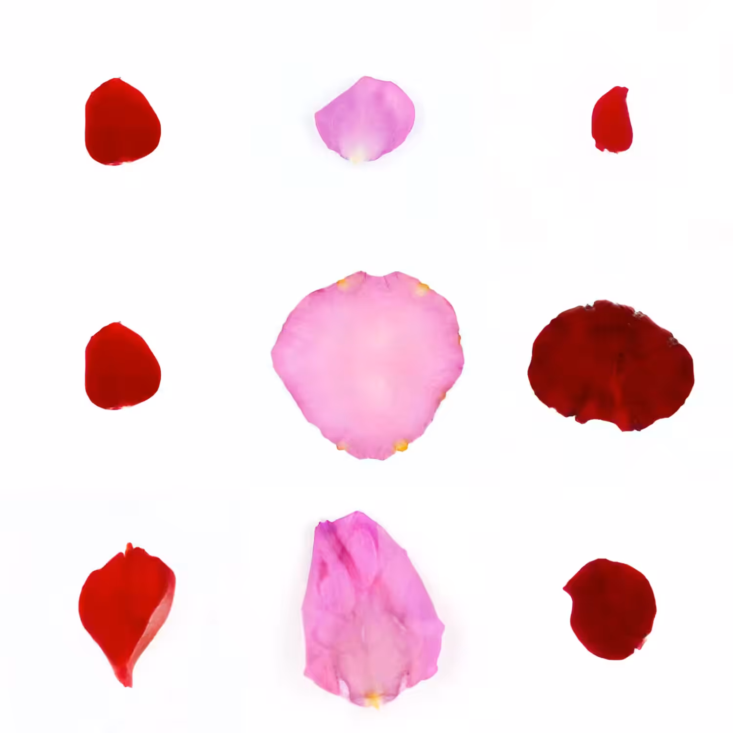 Infinite Petals 3x3#3546