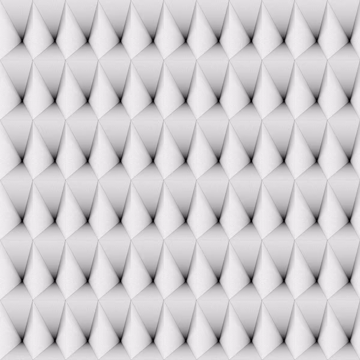 Noir et Blanc #34