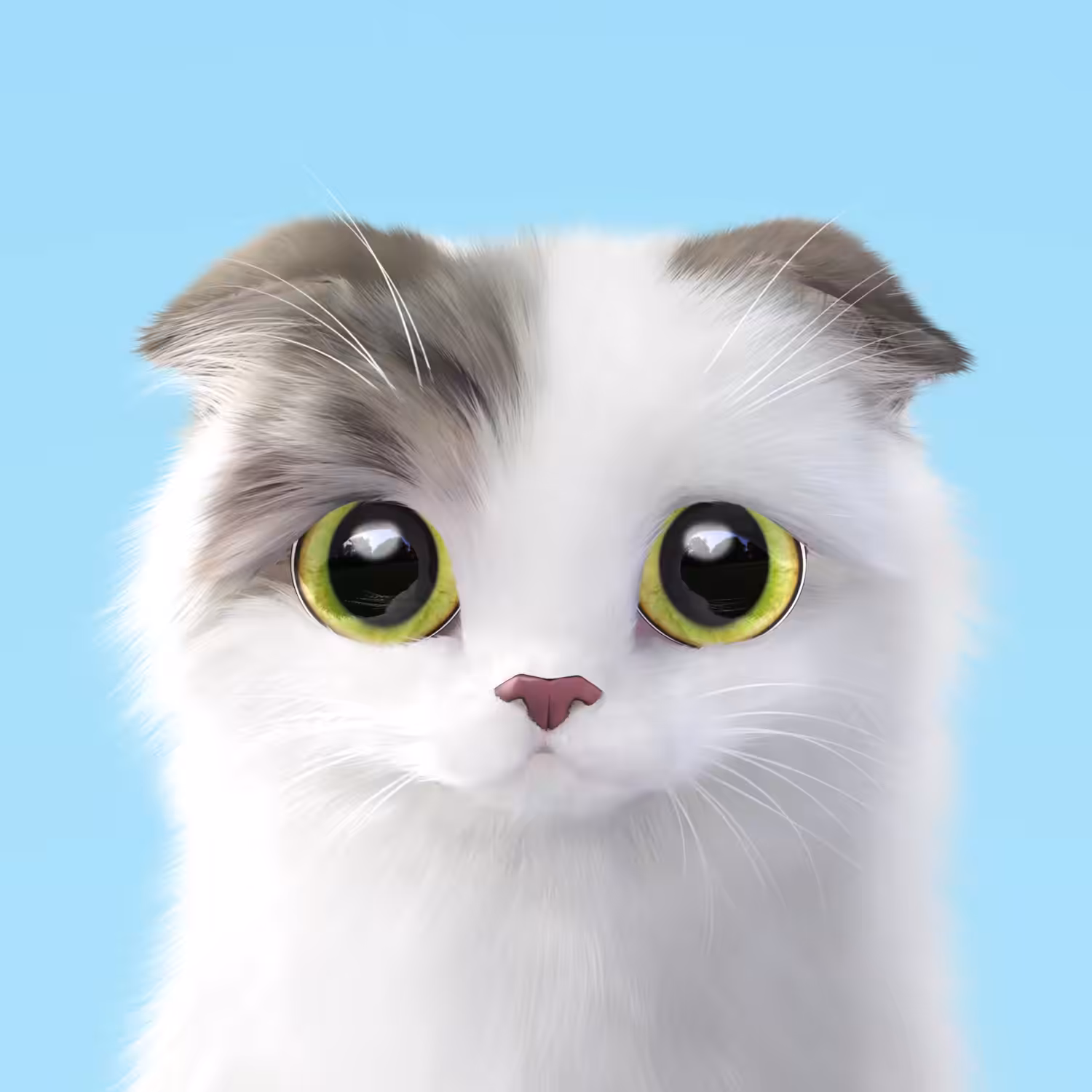 Duna — CAT #1