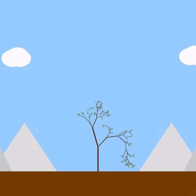 From seedling to tree #39