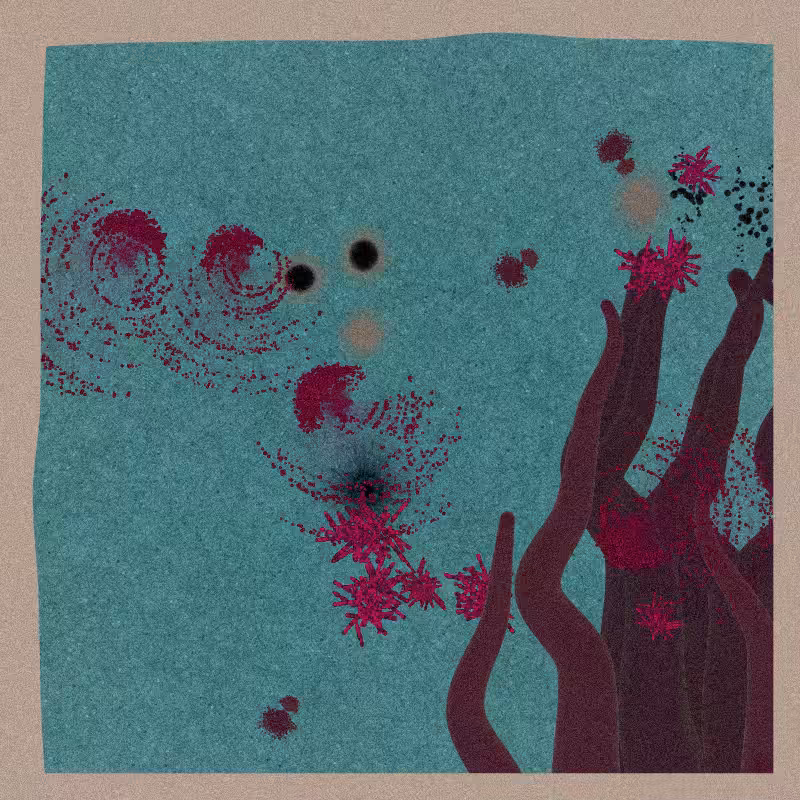 Sea Anemone #41