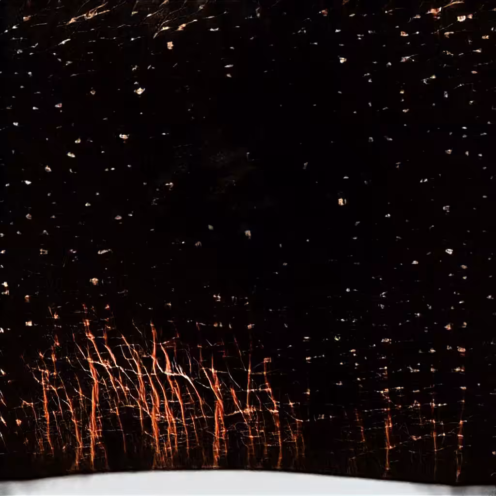 Winter Fire