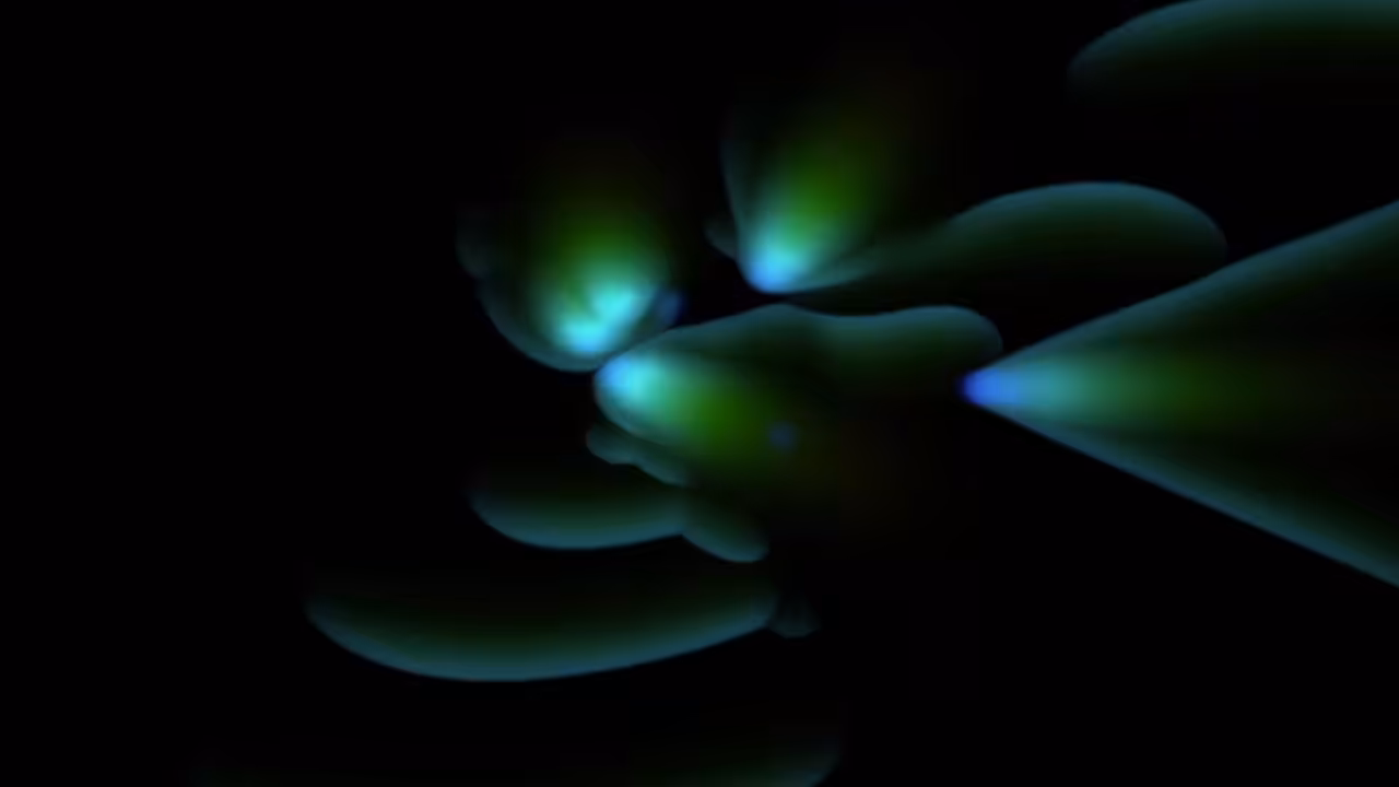 Family of Fish
