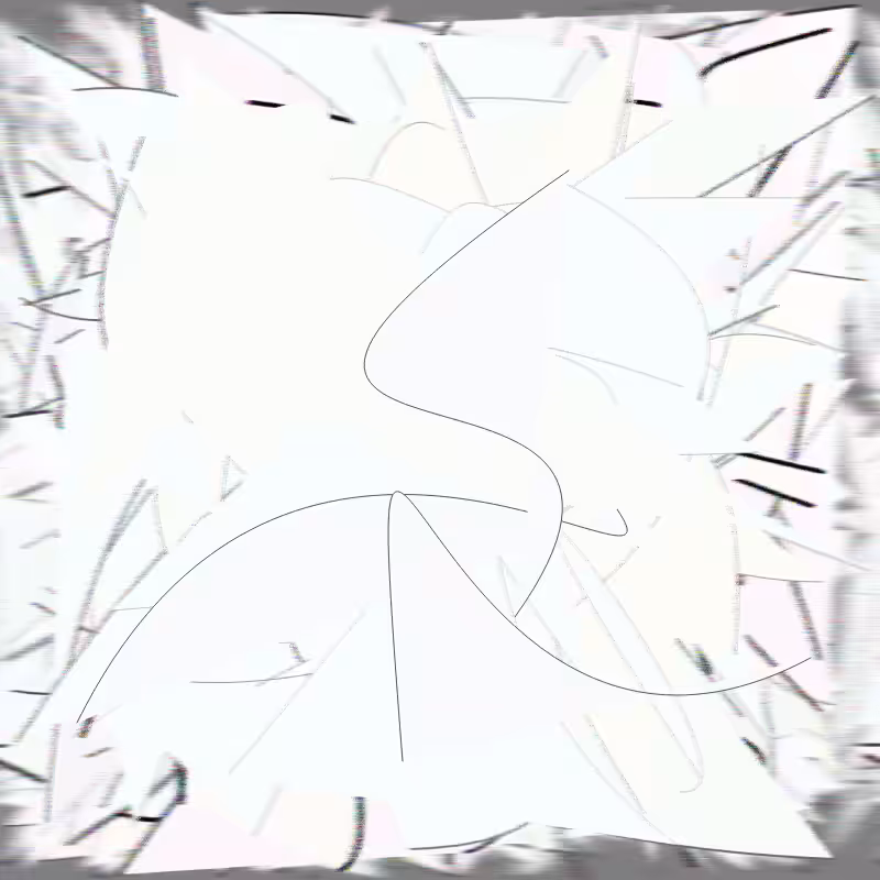 Animotion #2