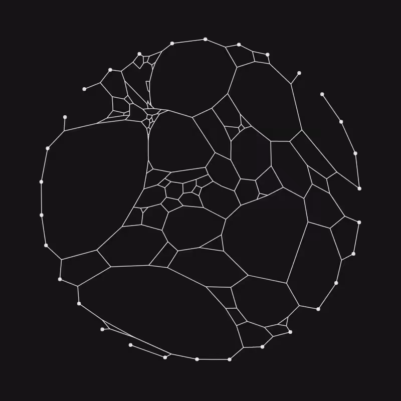 Elastic Web #47