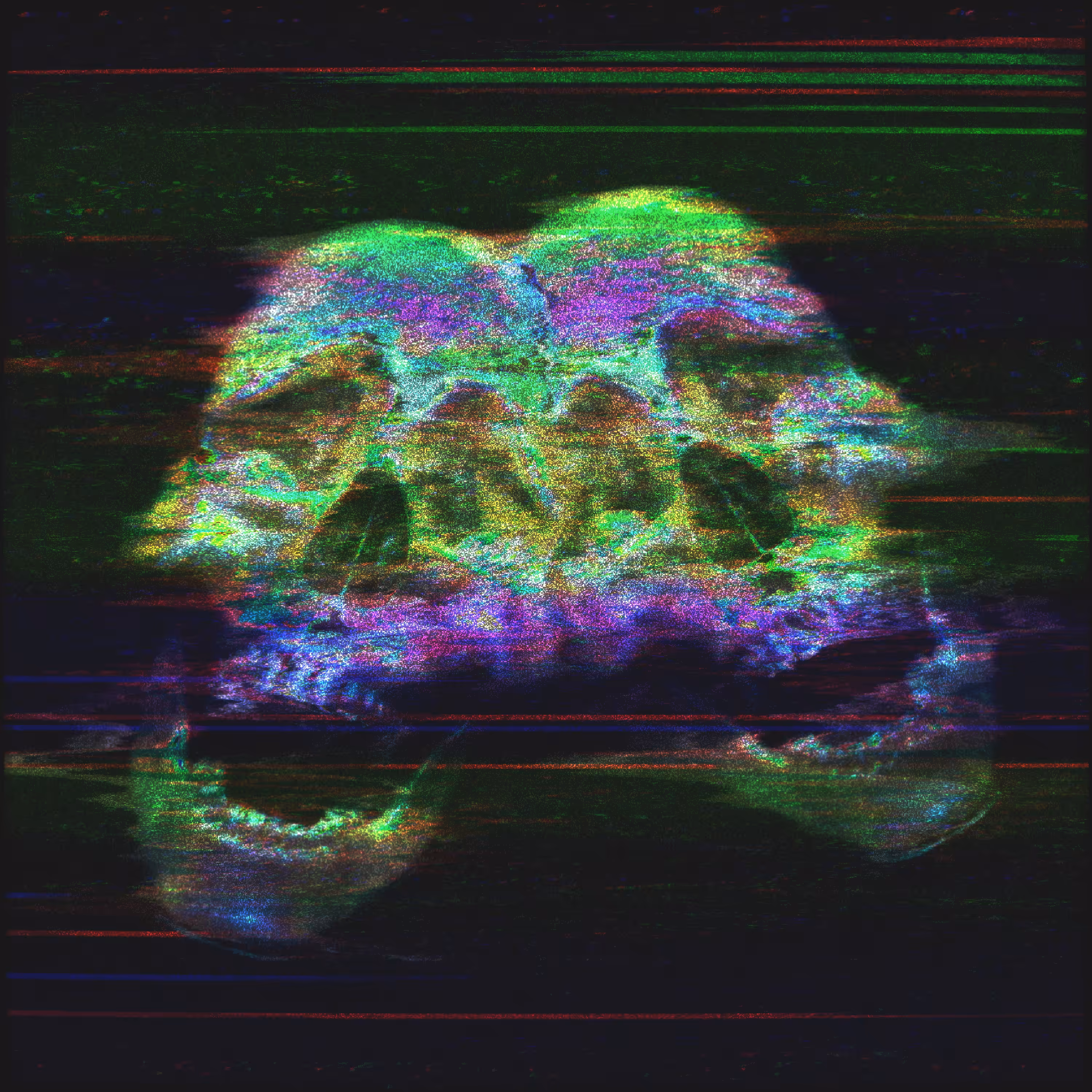 DW_2