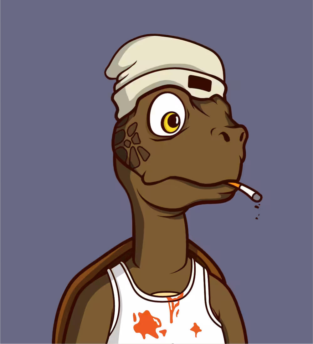 Tiny Turtle 113