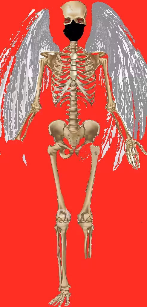 DeathAngelMe