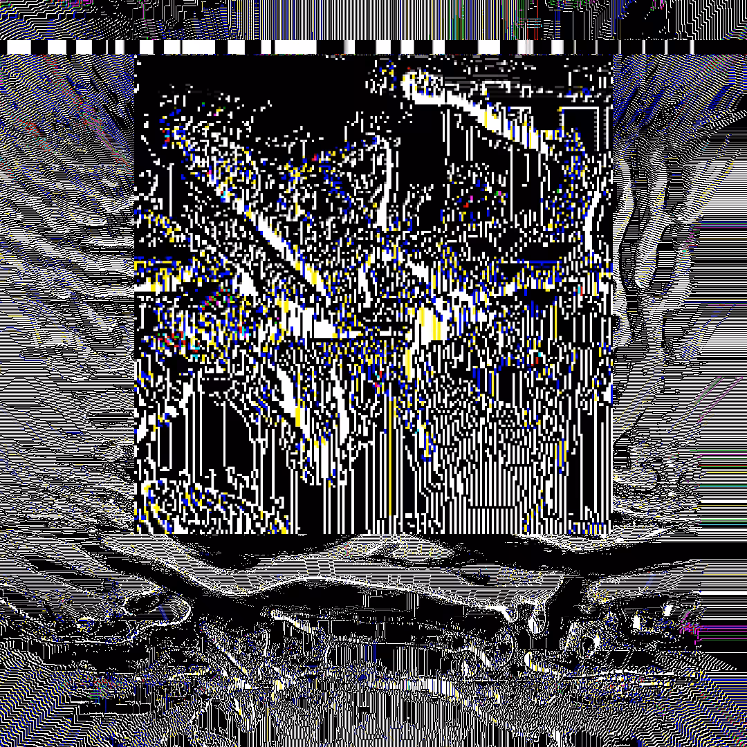nearest neighbor - genesis  #92