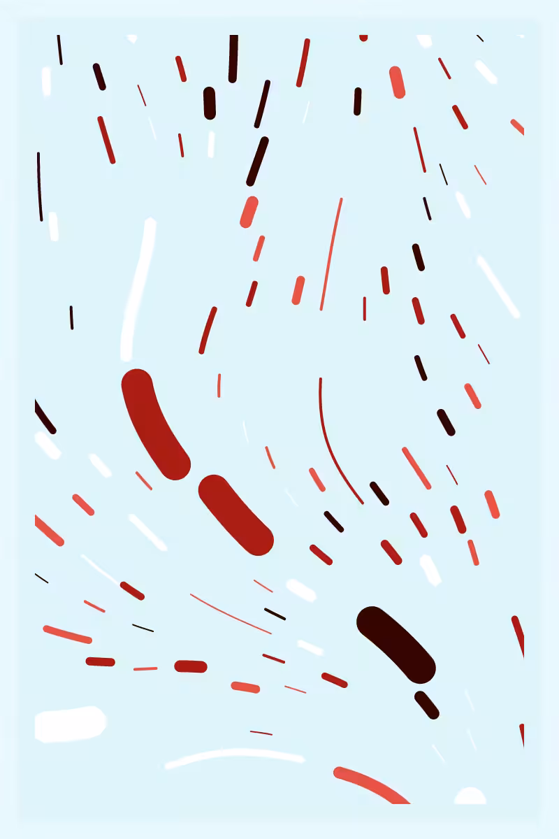 Alsophis Antiguae: Echoes in the Flow #75