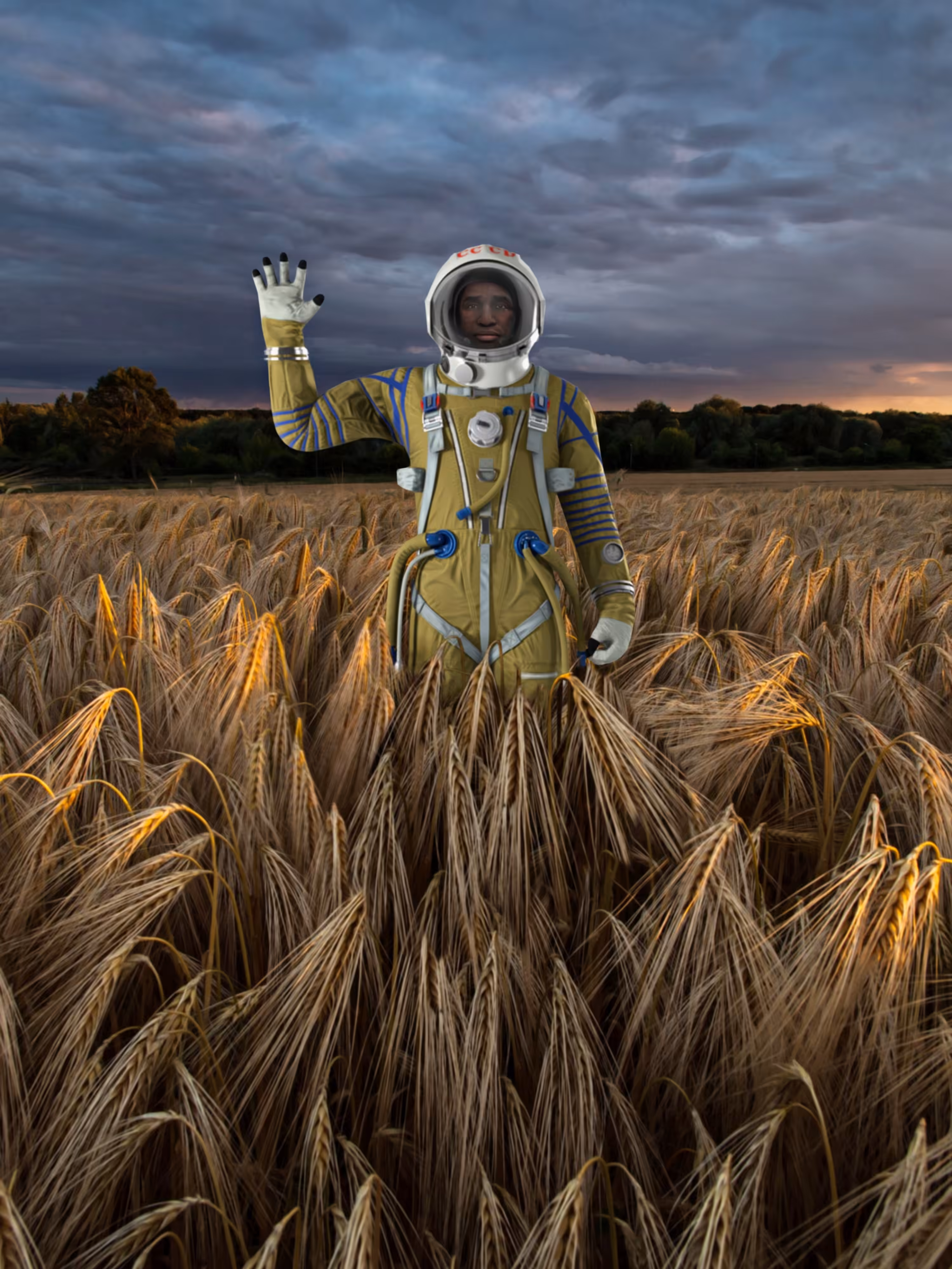 The Wheat Field