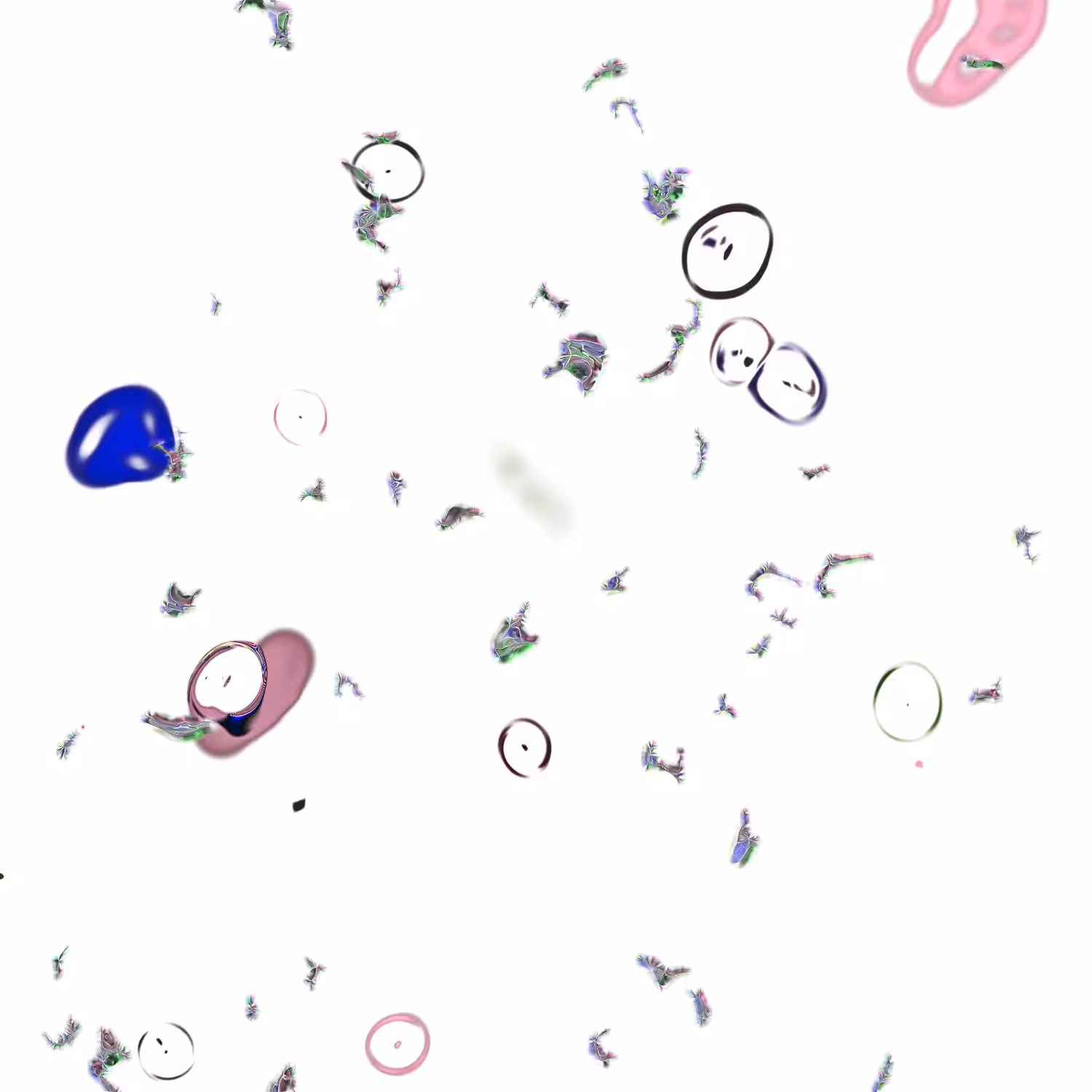 WTWR - BCTR ***033-5Z6
