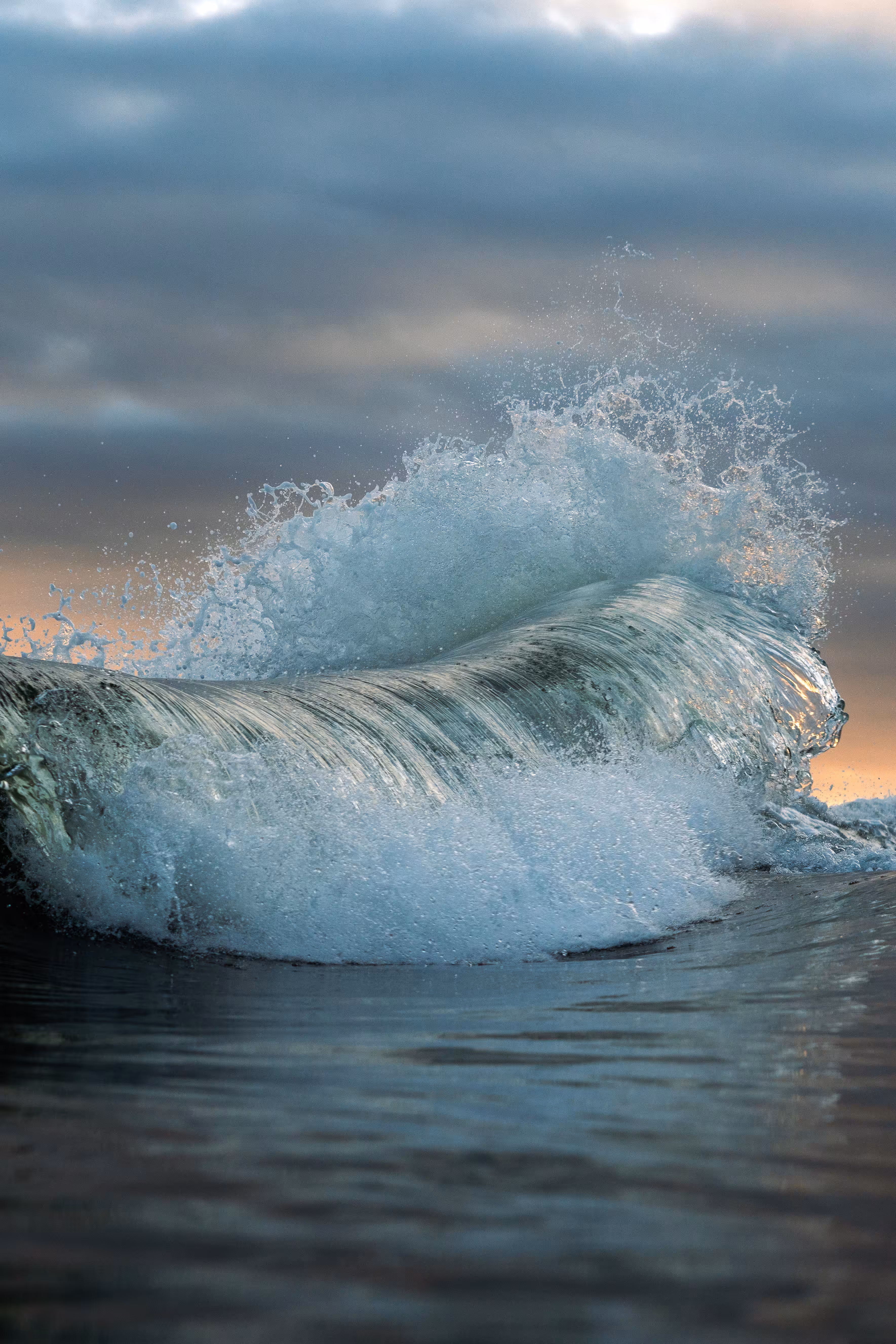 Teal Tide