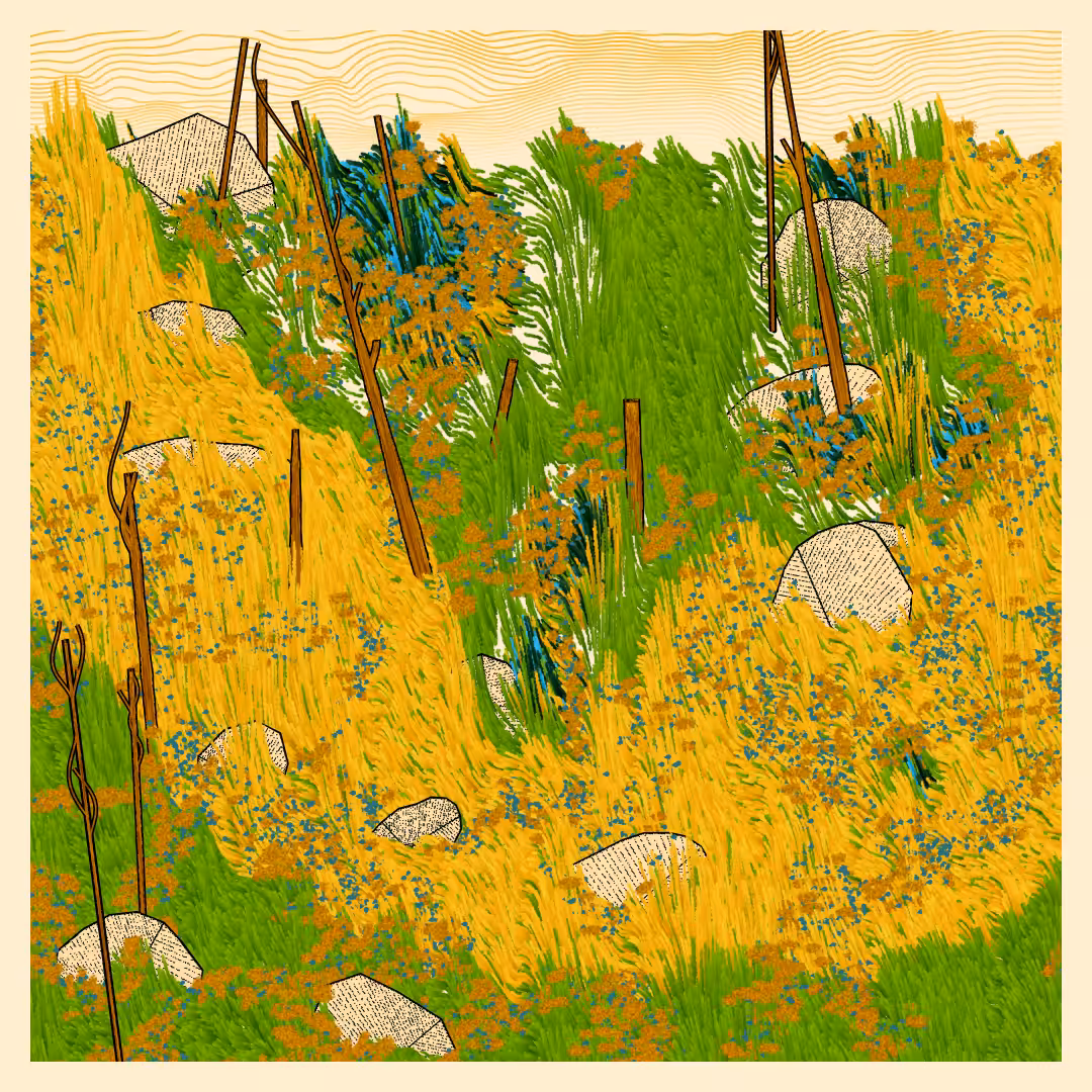 Bagh #156