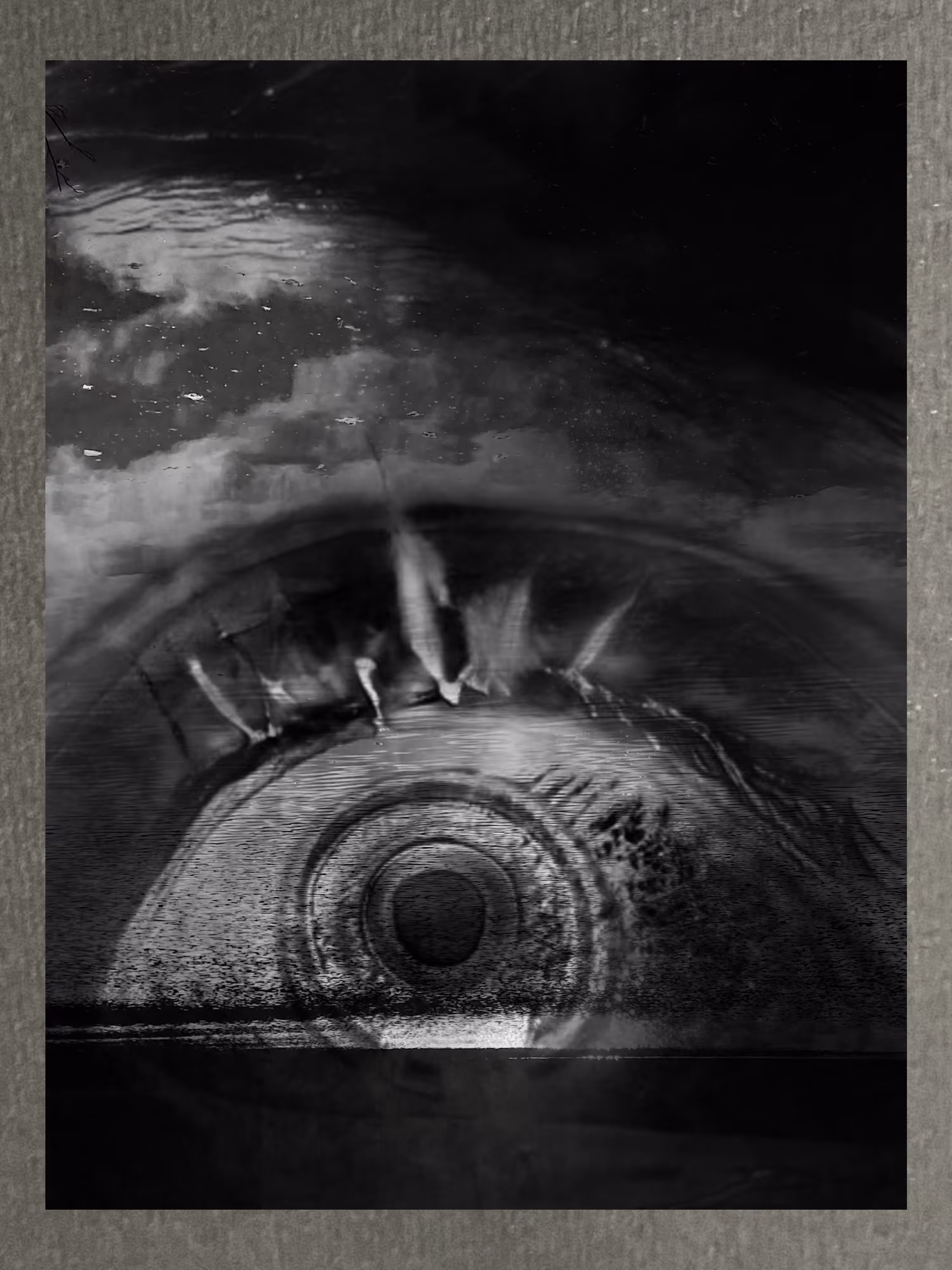 Gazer