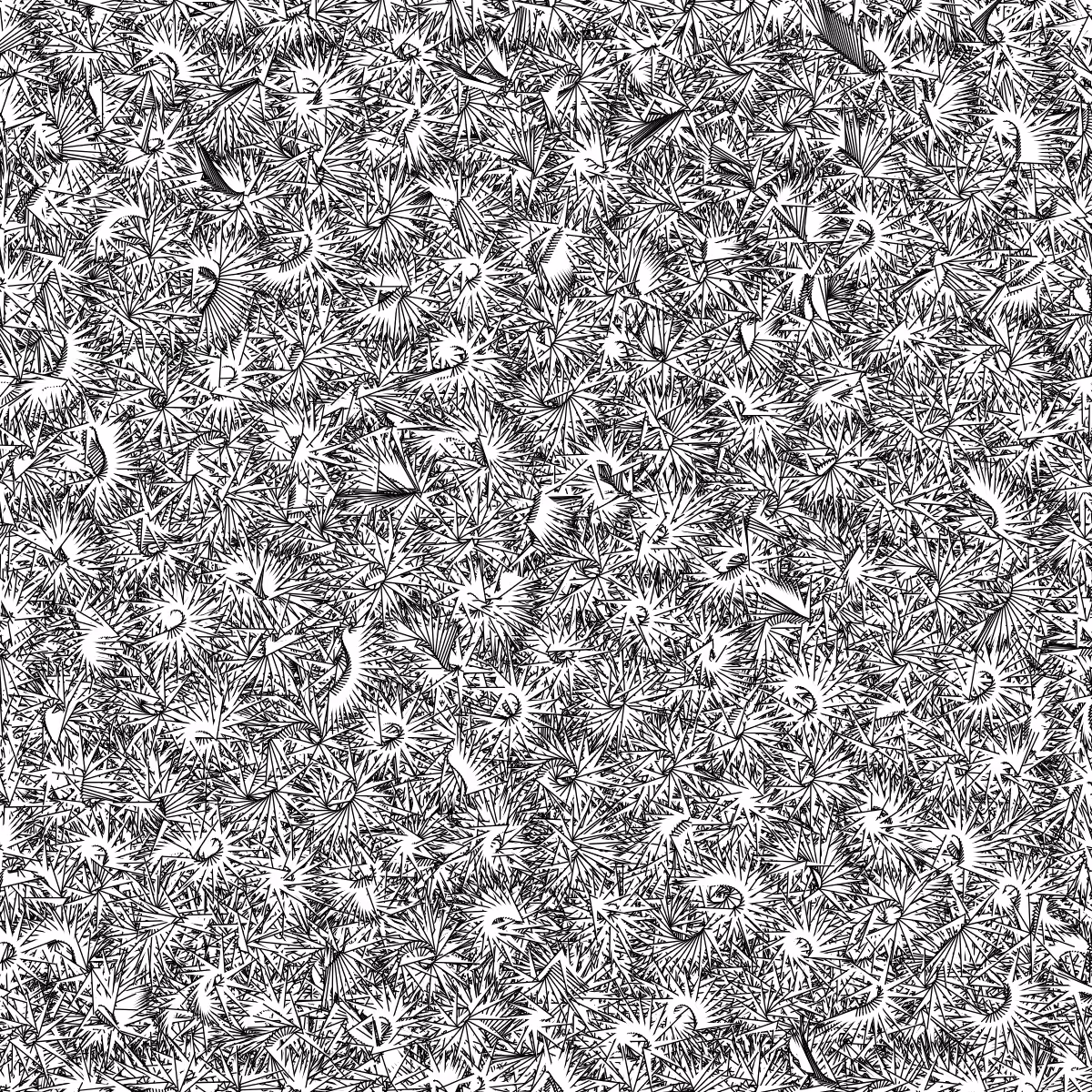 Fantacy Carpet #51