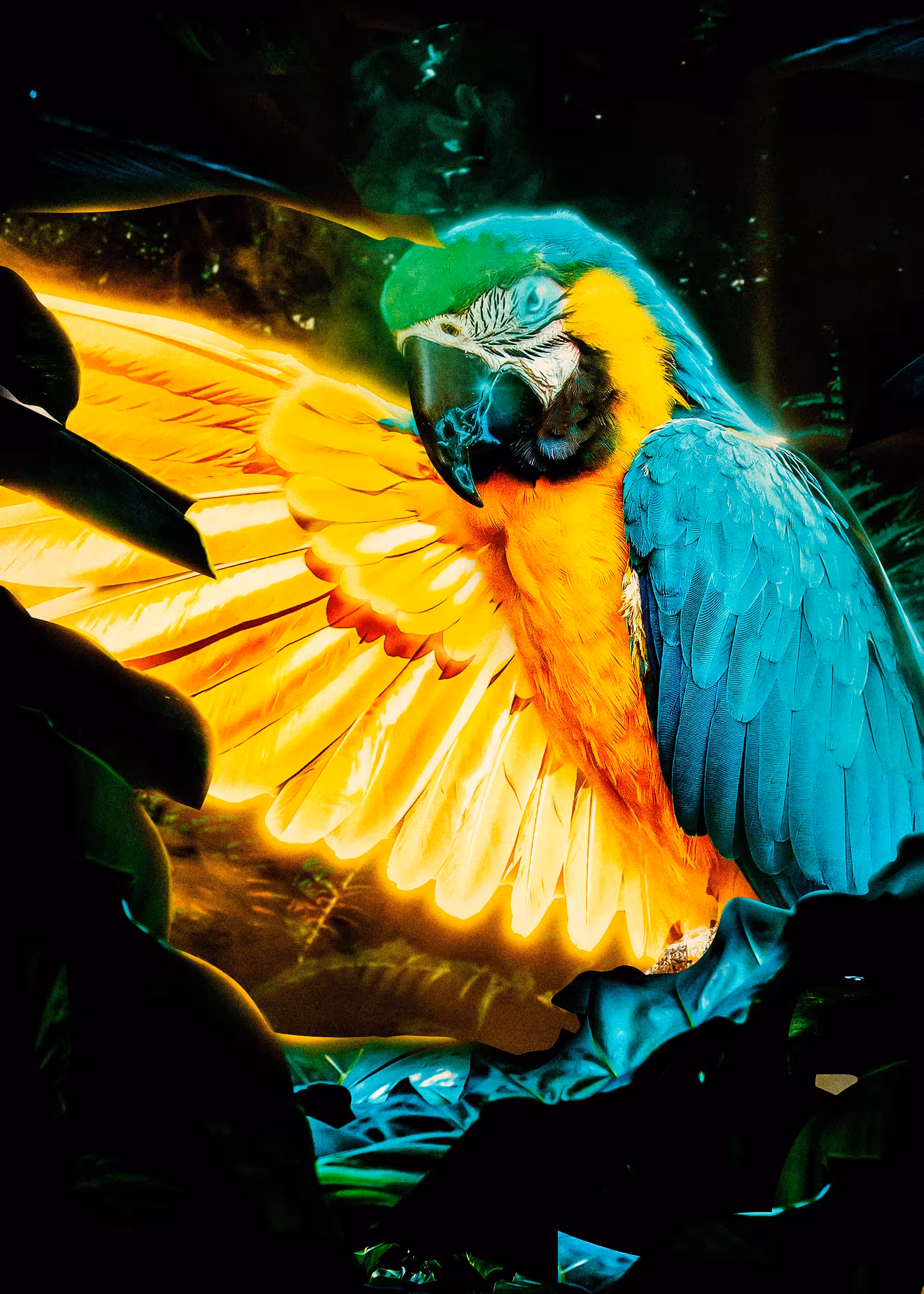 Mistic Rainforest