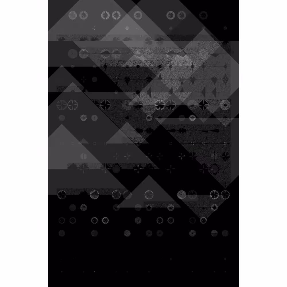 Etude B&W #376
