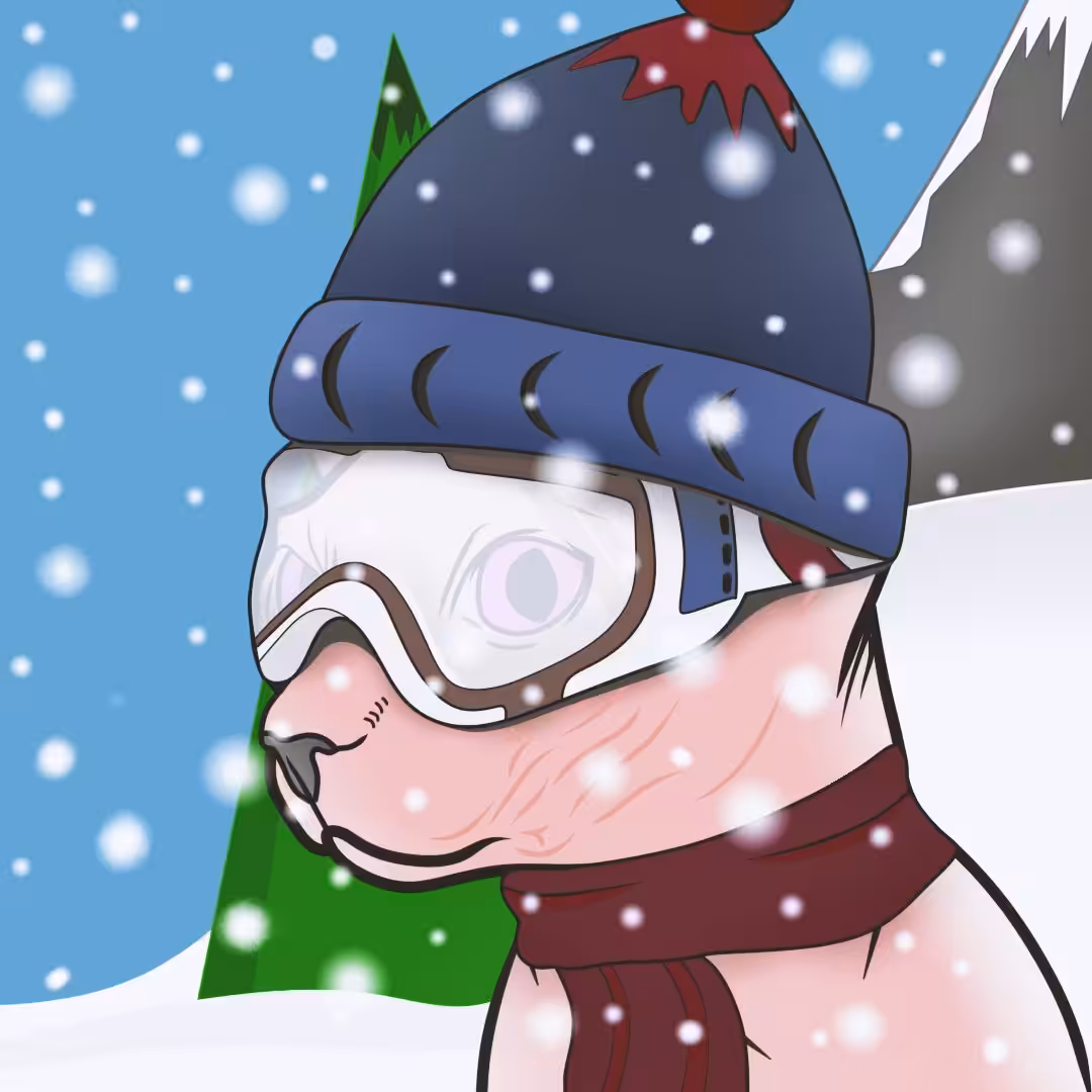 Snow Cat