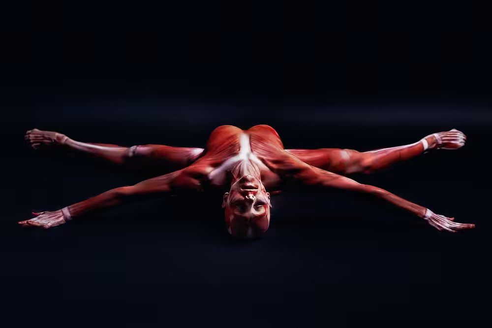 Flesh and Bone