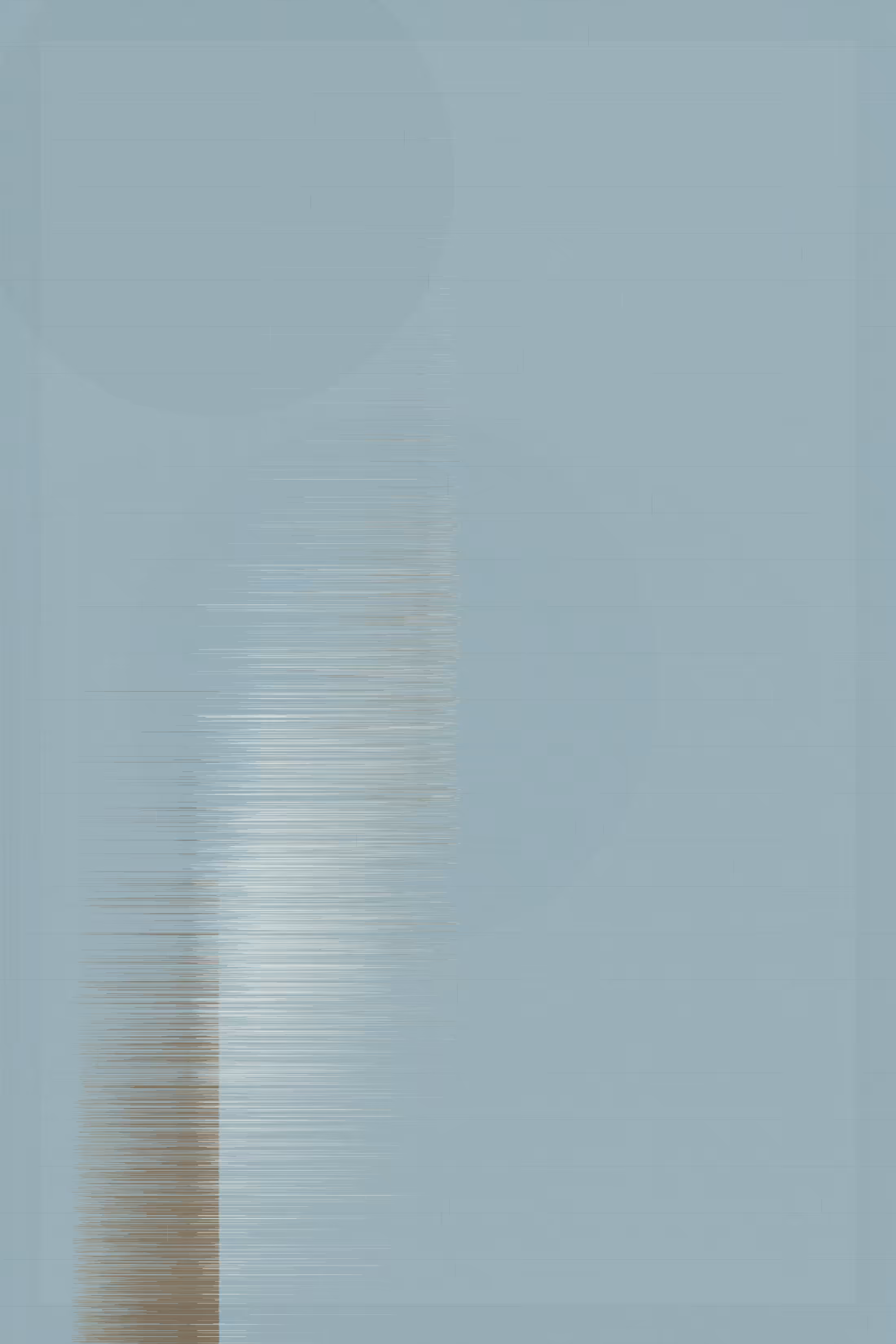 Apertum #41