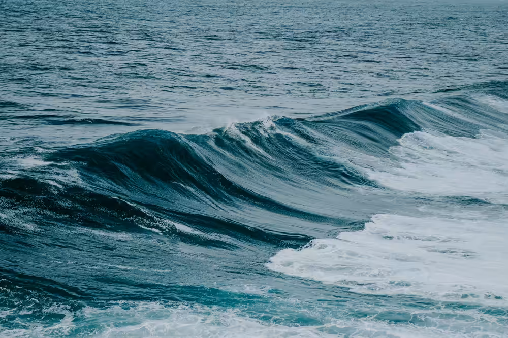 Waves I