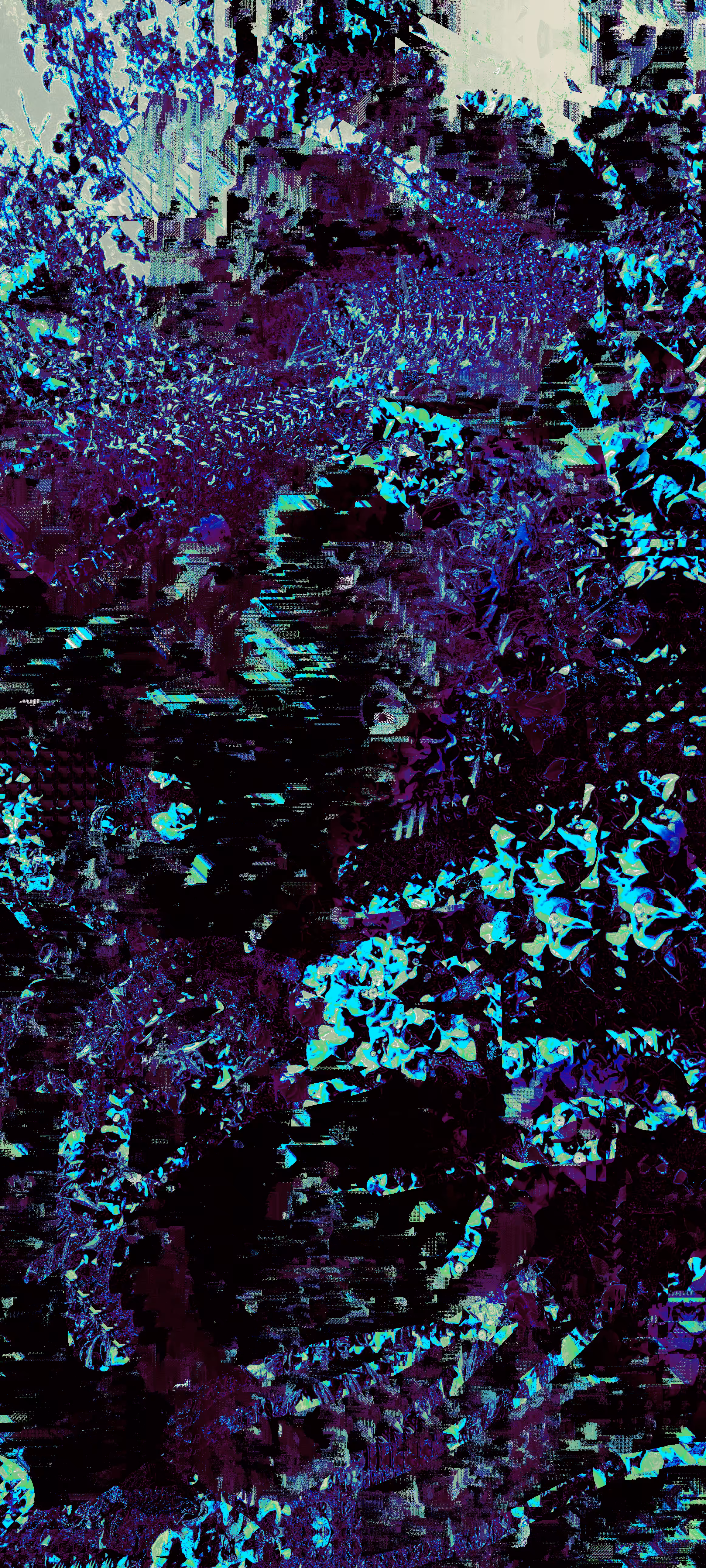 Flowers in my attic - "💙"