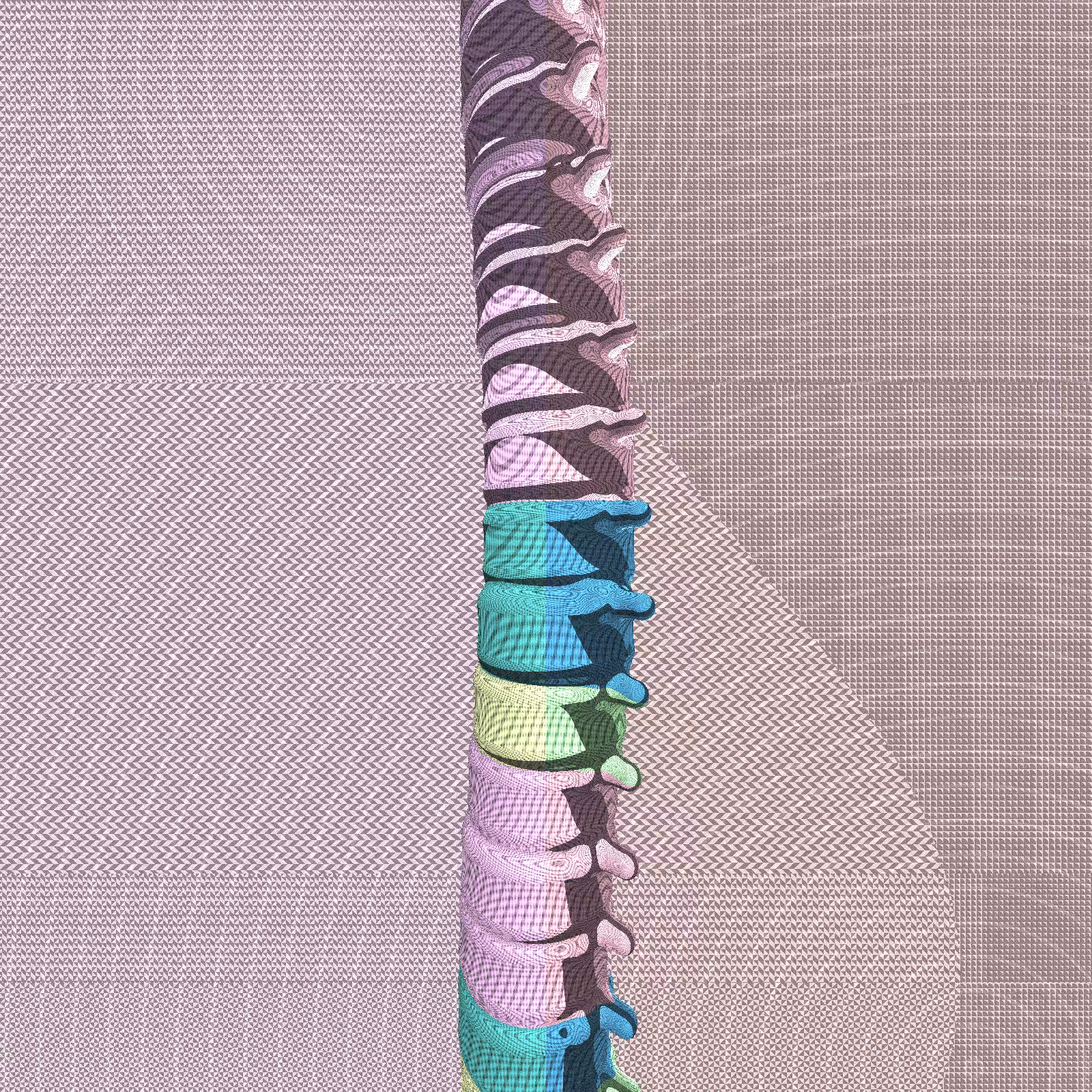 Long, Thin, Tubular Structure #22
