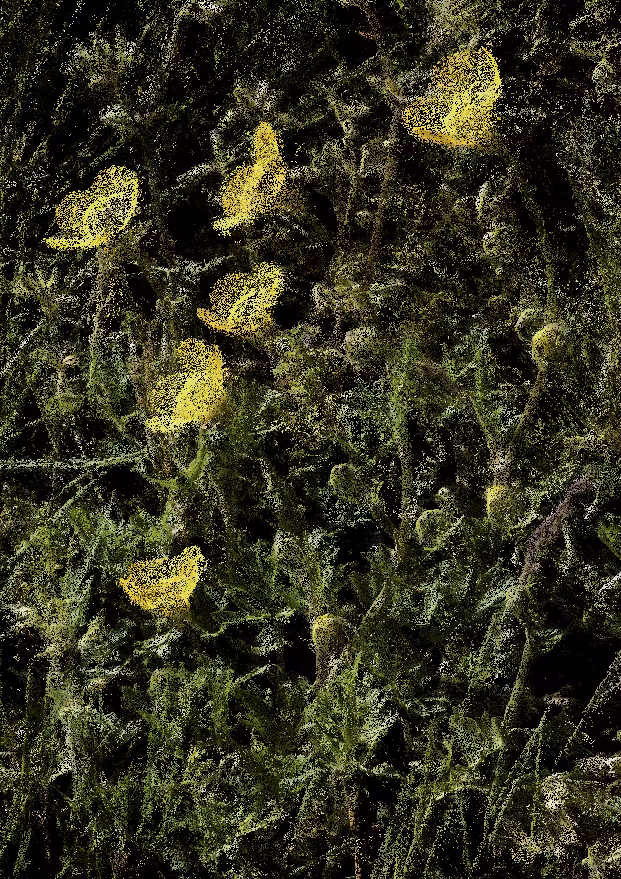 Overgrowth 0166