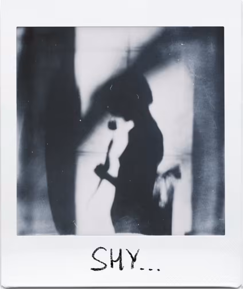 Polaroid 112