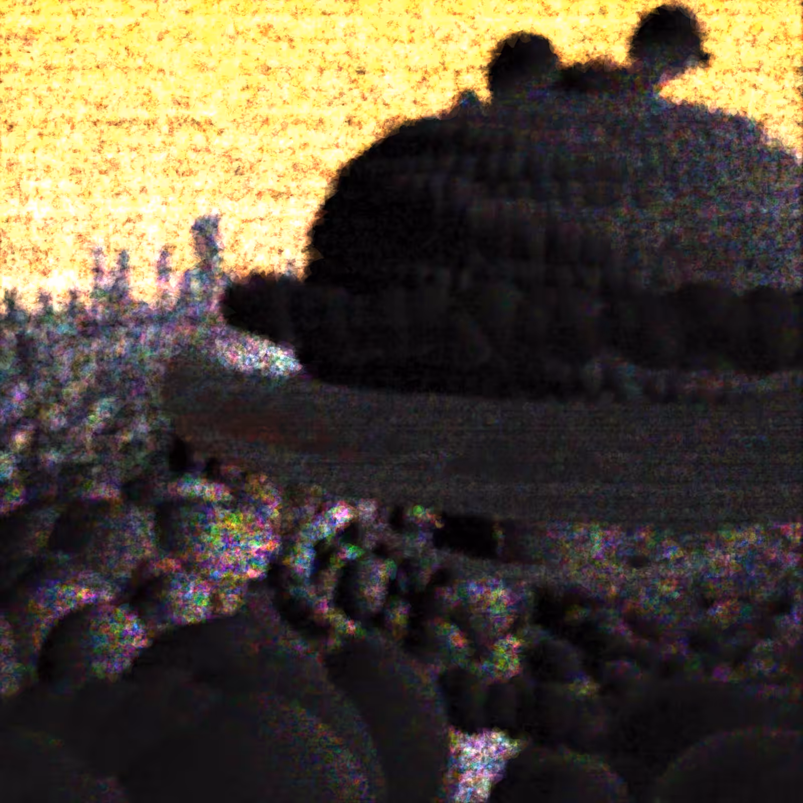 Last Transmission #14