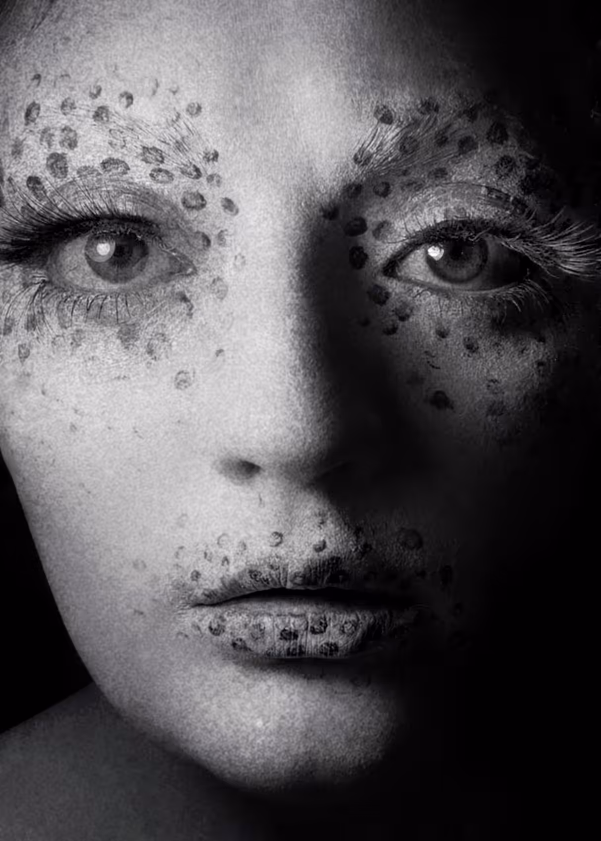Black Cocoon
