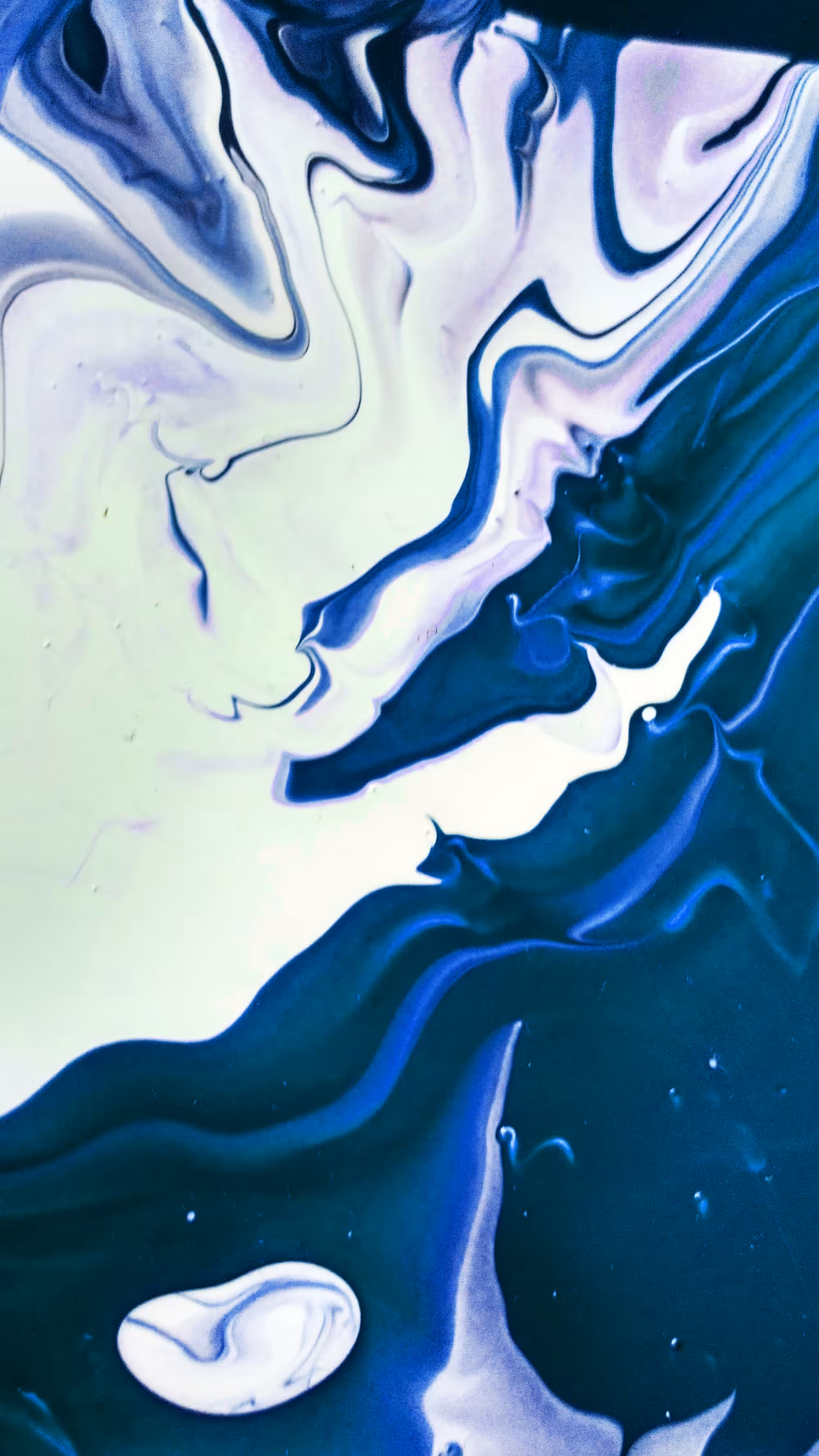 Blue Harmony